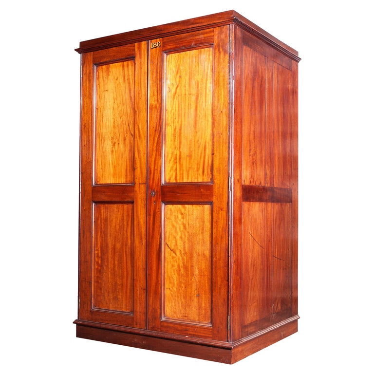 Victorian Natural History Museum Specimen Chest of at