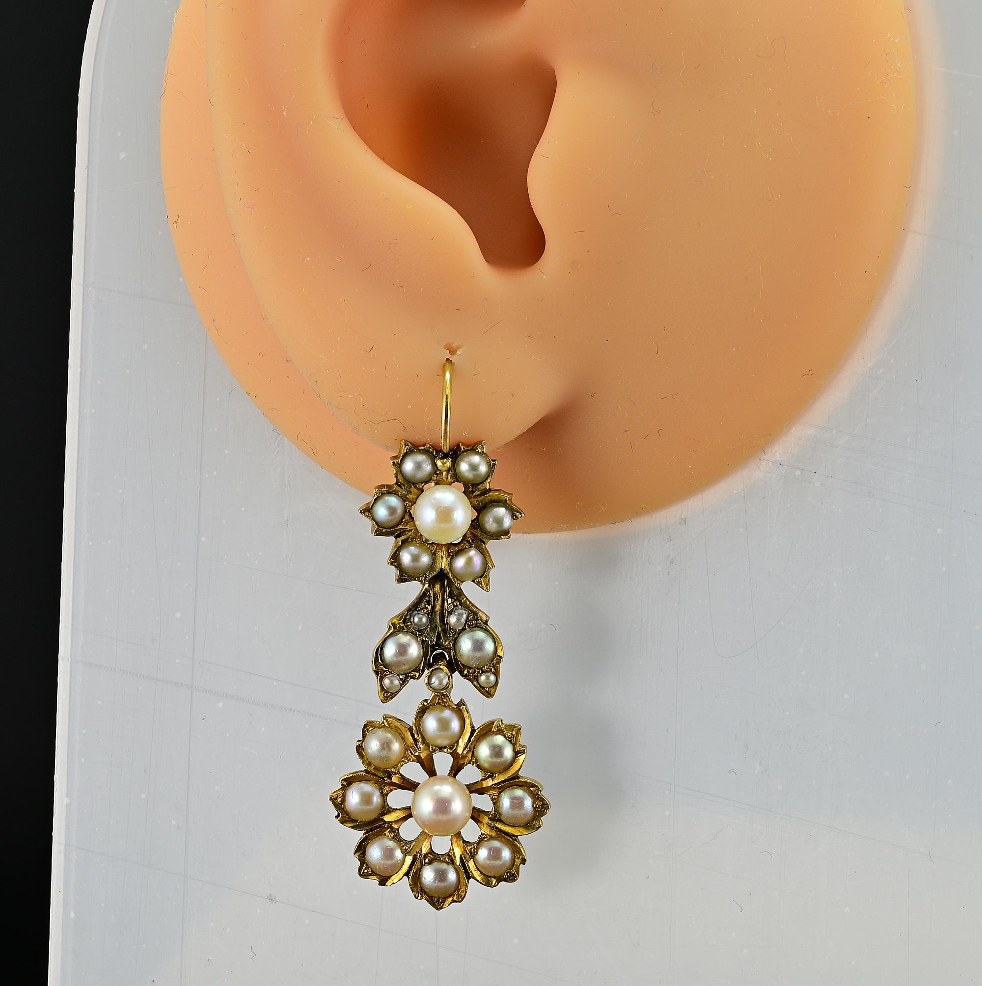 Victorian Natural Pearl Daisy & Leaf  Long Drop Earrings 4