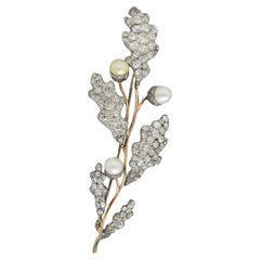 Victorian Natural Pearl Diamond 14K Gold Silver Antique Acorn Branch Brooch