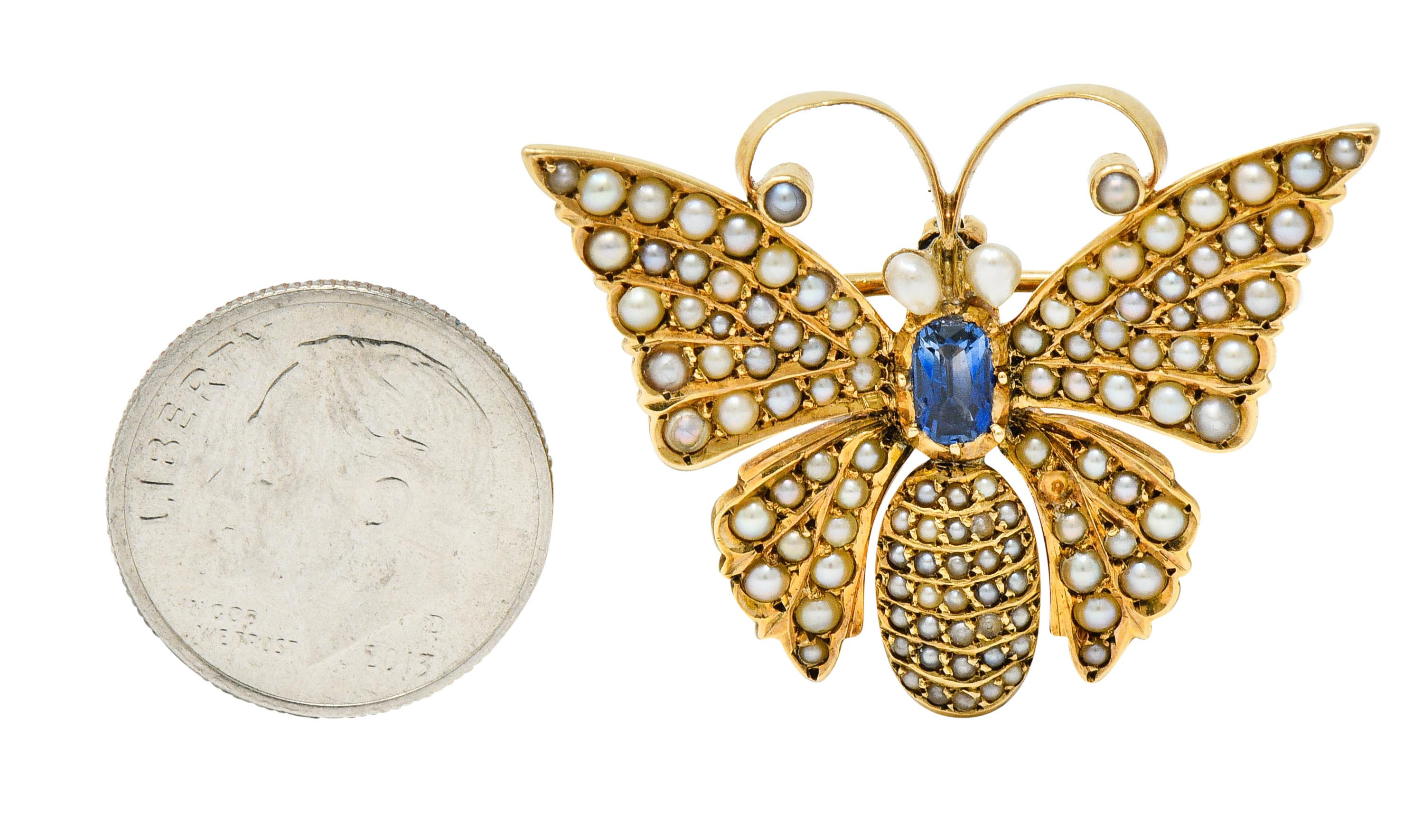 Victorian Natural Pearl Sapphire 14 Karat Gold Butterfly Pendant Brooch 3