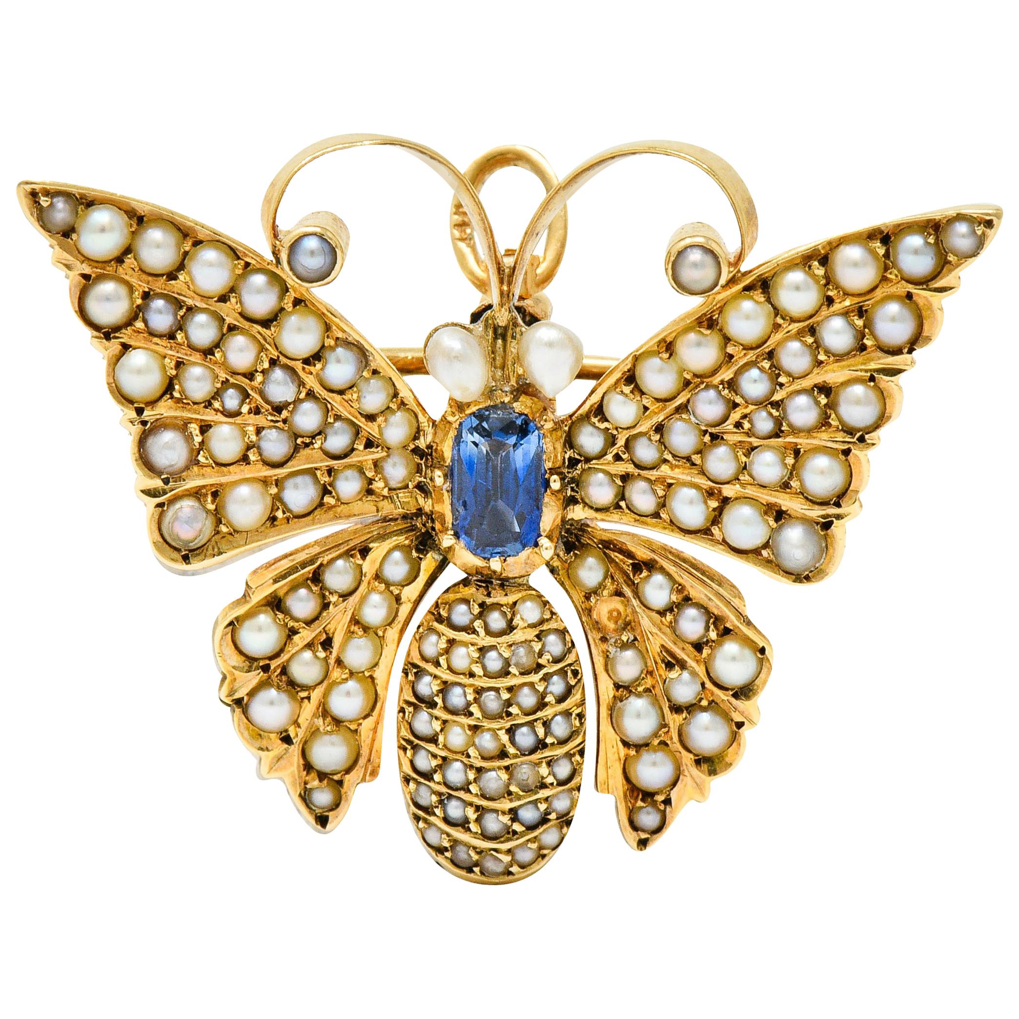 Victorian Natural Pearl Sapphire 14 Karat Gold Butterfly Pendant Brooch