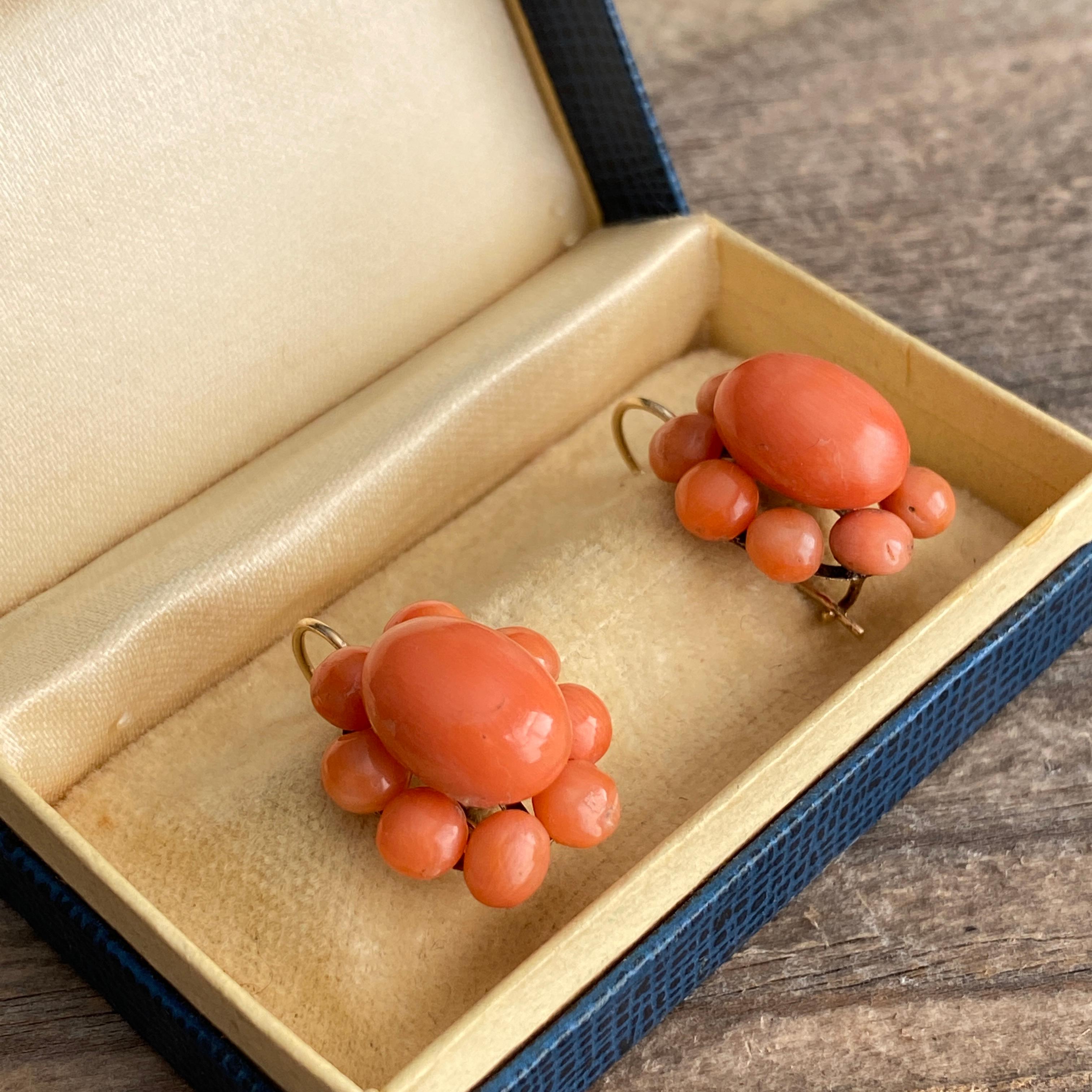 Victorian Natural Red Coral 14K Earrings 3