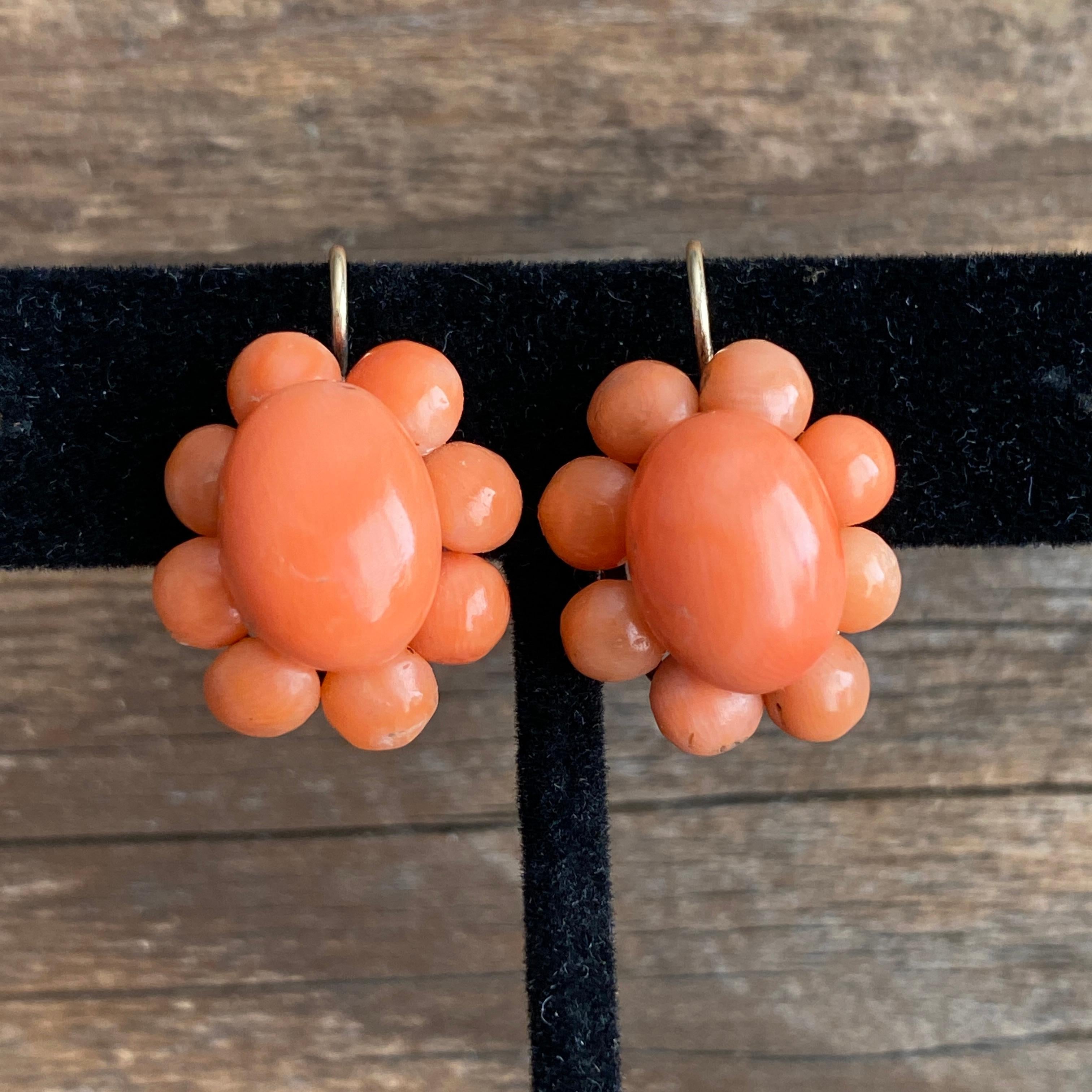Details:
Lovely Victorian natural red coral earrings with 14K gold fastening ear wires. The red coral earrings are floral in theme. They are lightweight on, and wear nicely. Intact natural red coral earrings are difficult to find, and are becoming