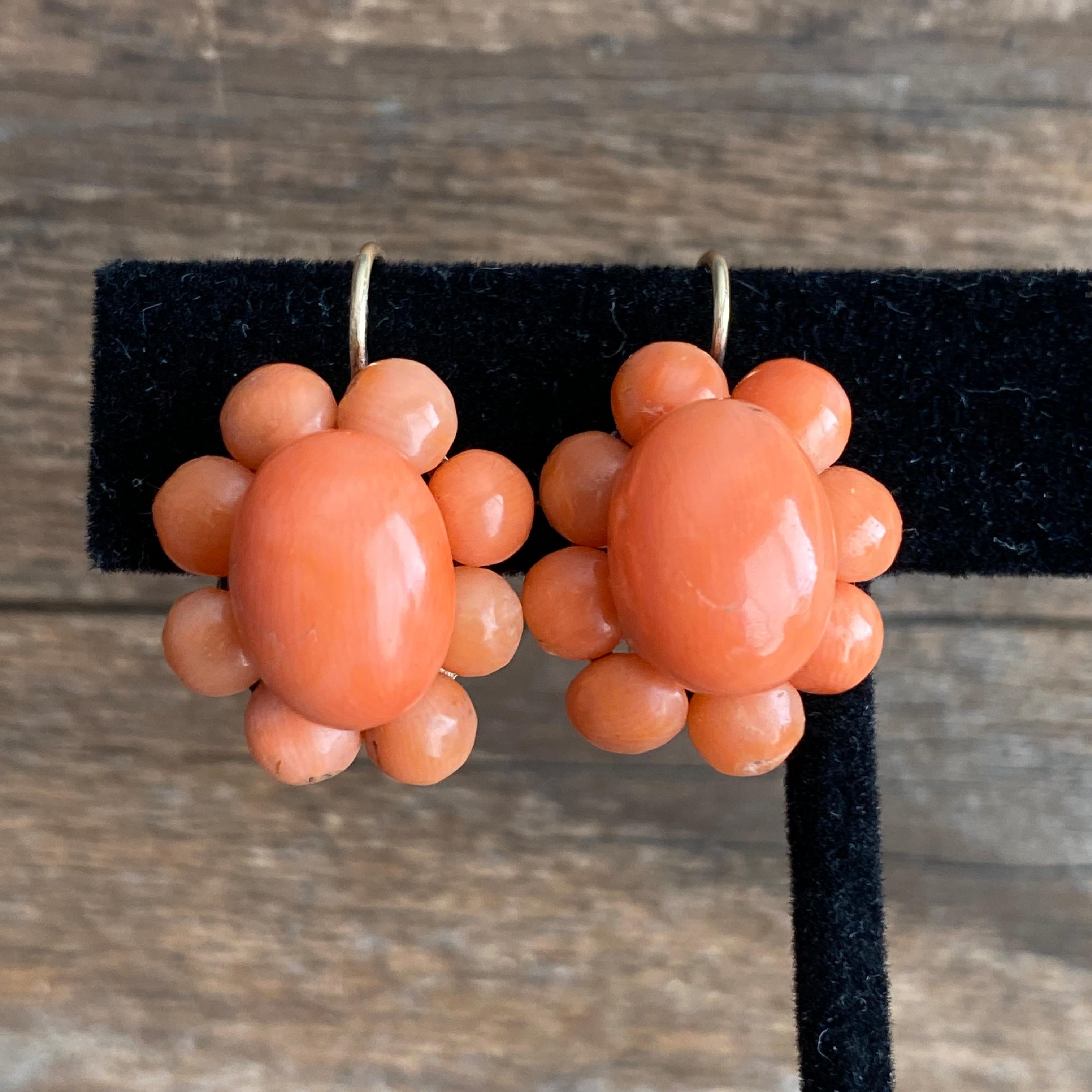 Victorian Natural Red Coral 14K Earrings In Good Condition In Scotts Valley, CA