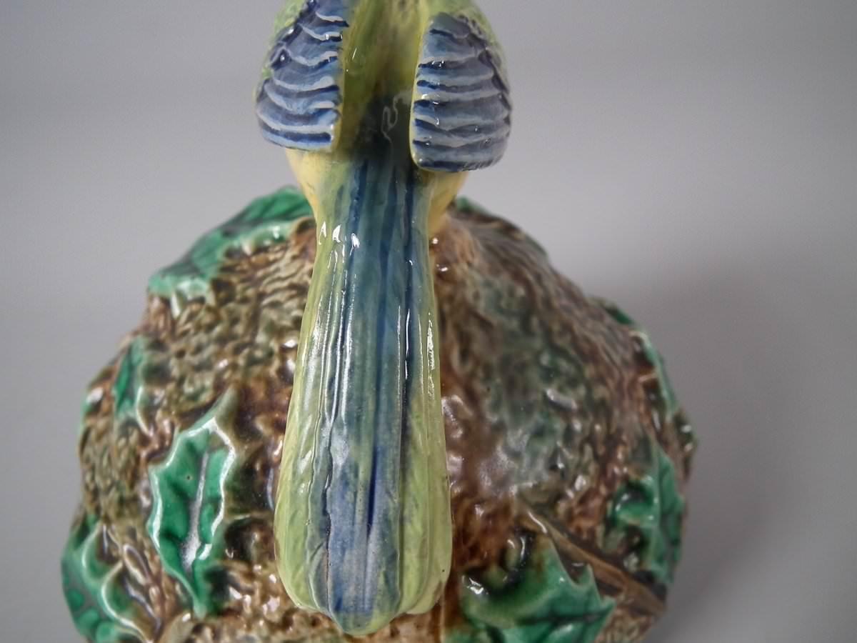 Victorian Naturalistic George Jones Majolica Blue Tit Preserve Pot & Lid 12