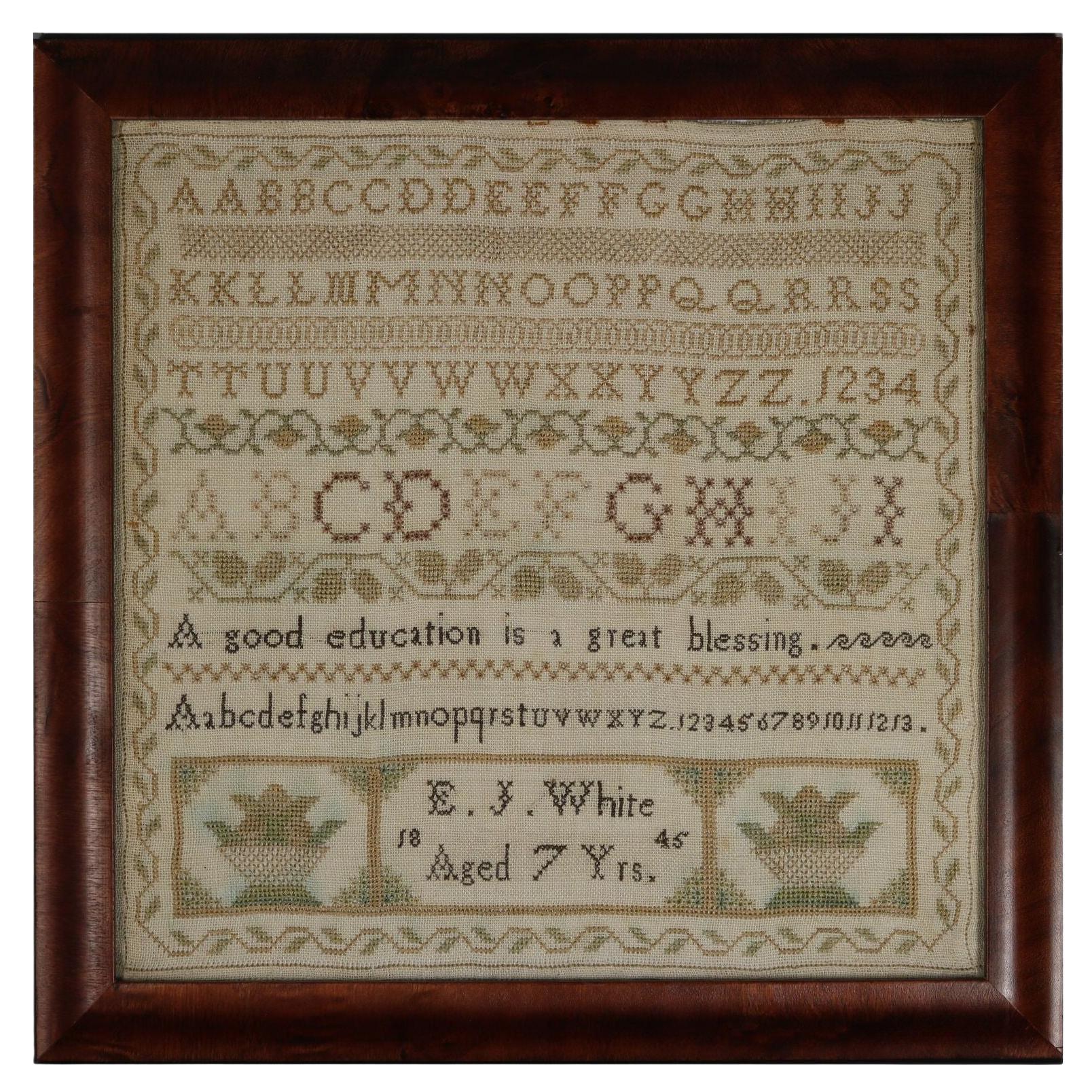 Victorian Norfolk Sampler, 1845, by EJ White For Sale