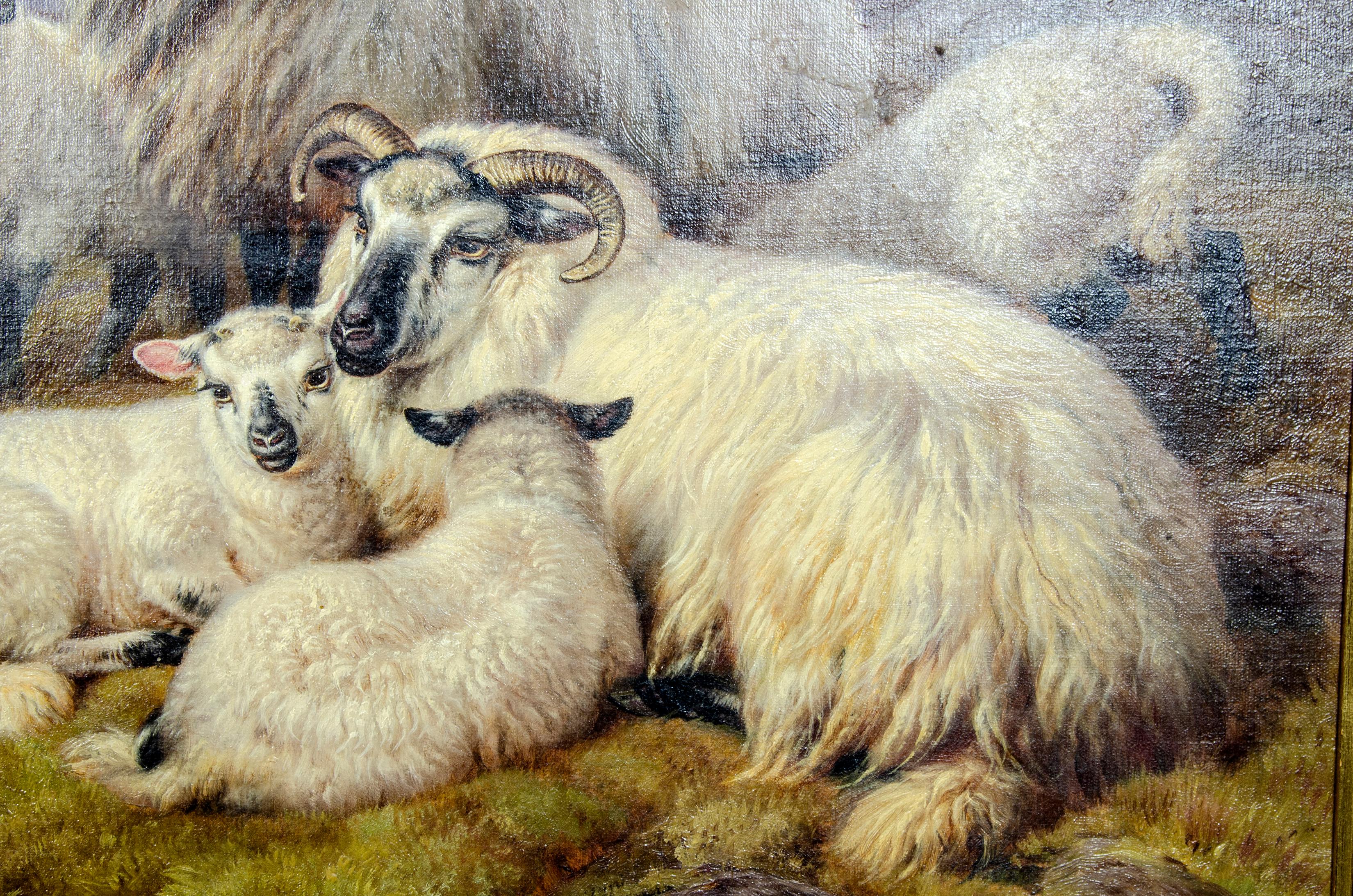 English Victorian Oil on Canvas of Sheep by William Watson