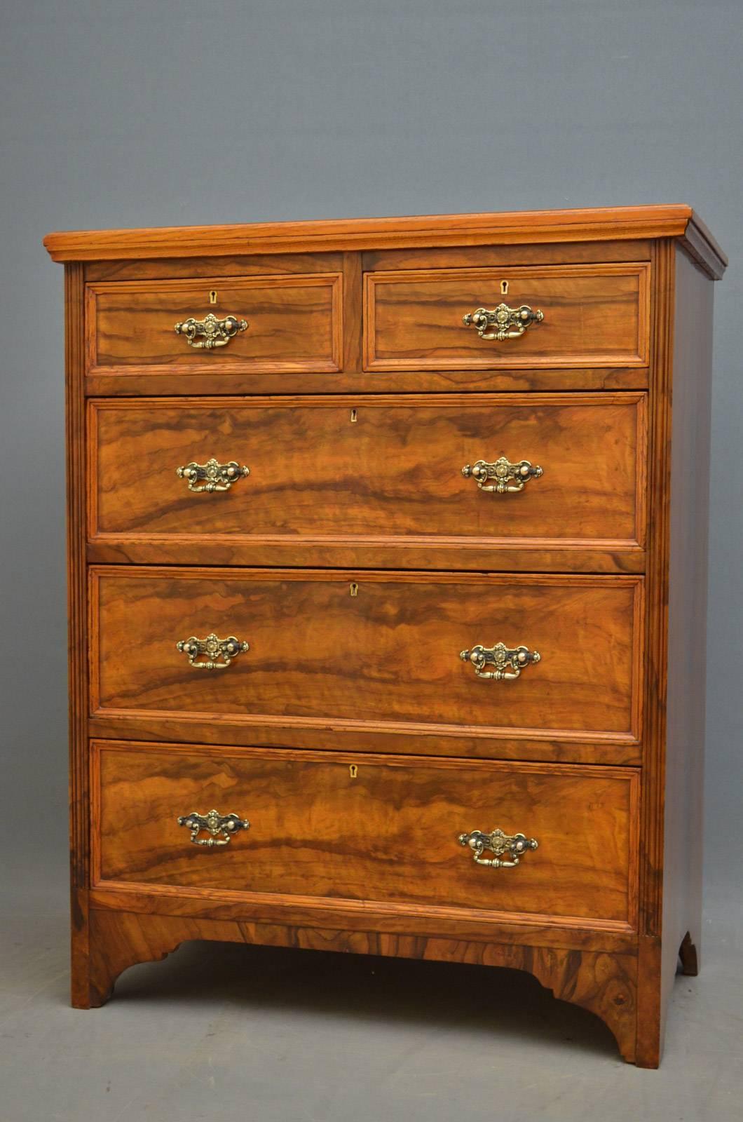 English Victorian Olivewood Chest of Drawers