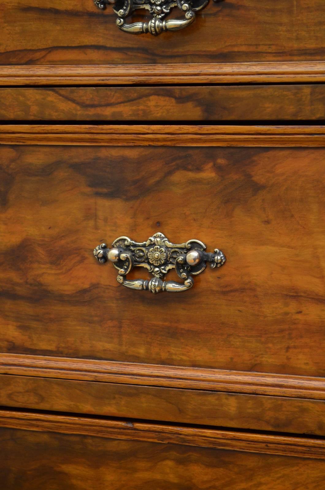 Victorian Olivewood Chest of Drawers In Excellent Condition In Whaley Bridge, GB