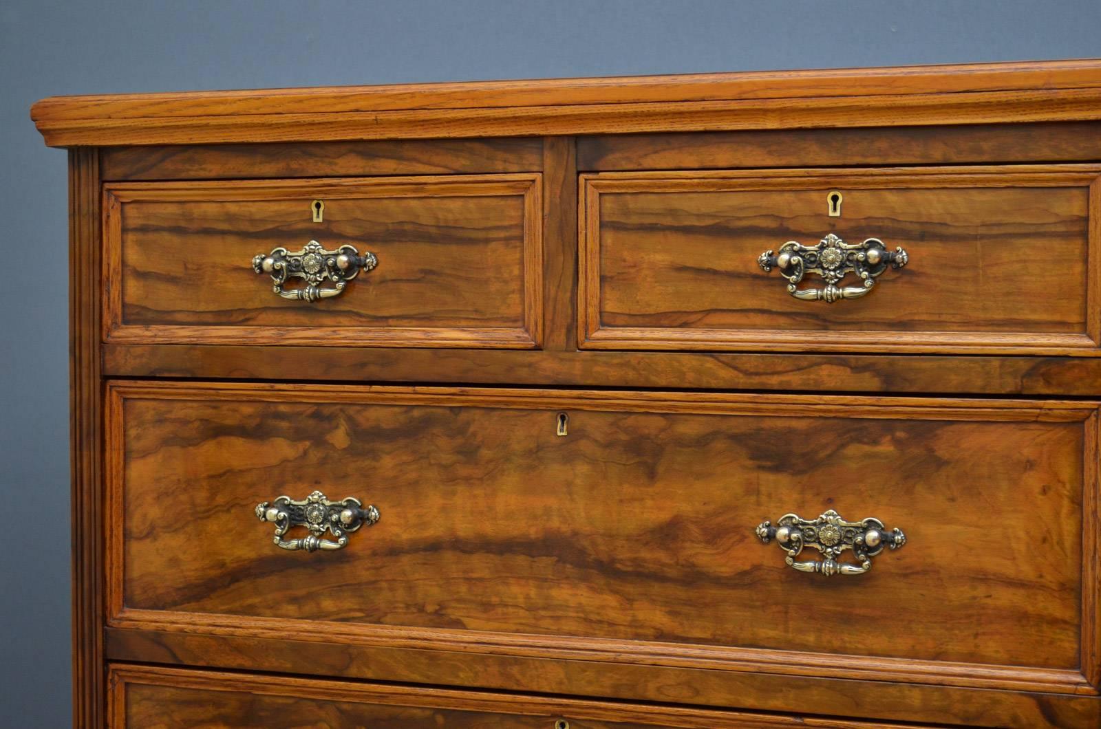 Late 19th Century Victorian Olivewood Chest of Drawers