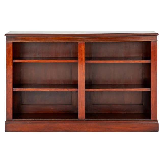 Victorian Open Bookcase Mirrored Back For Sale at 1stDibs