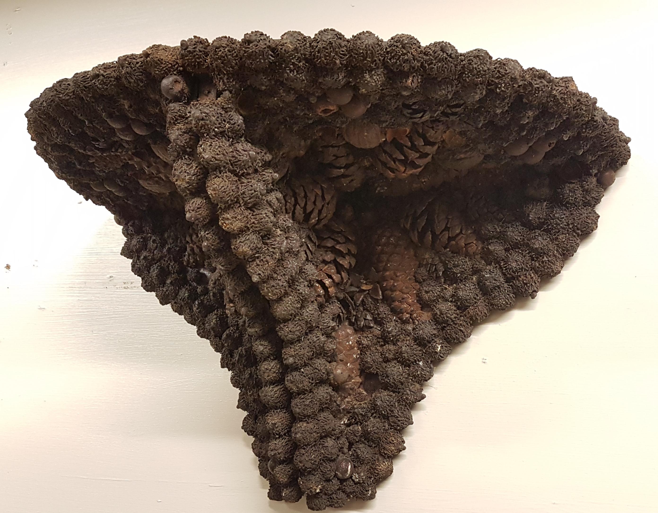 Late Victorian Victorian Pair of Corner Shelves Covered in Pine Cones