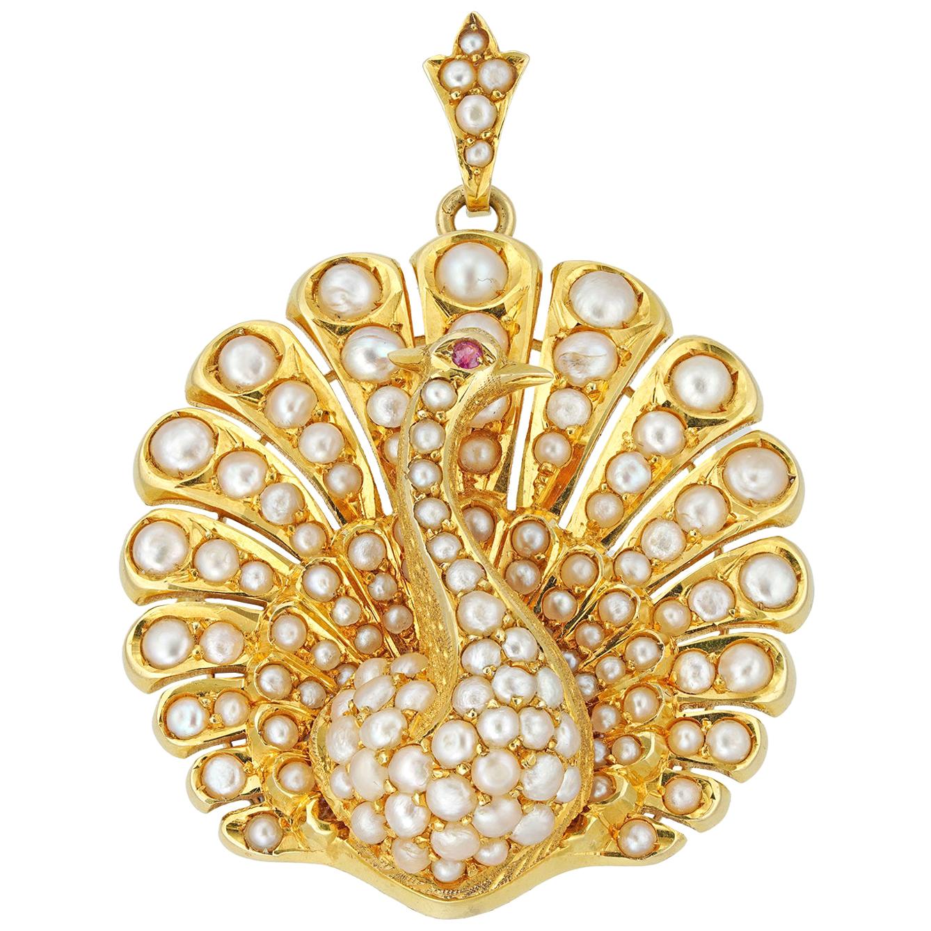 Victorian Pearl and Ruby Peacock Brooch/Pendant