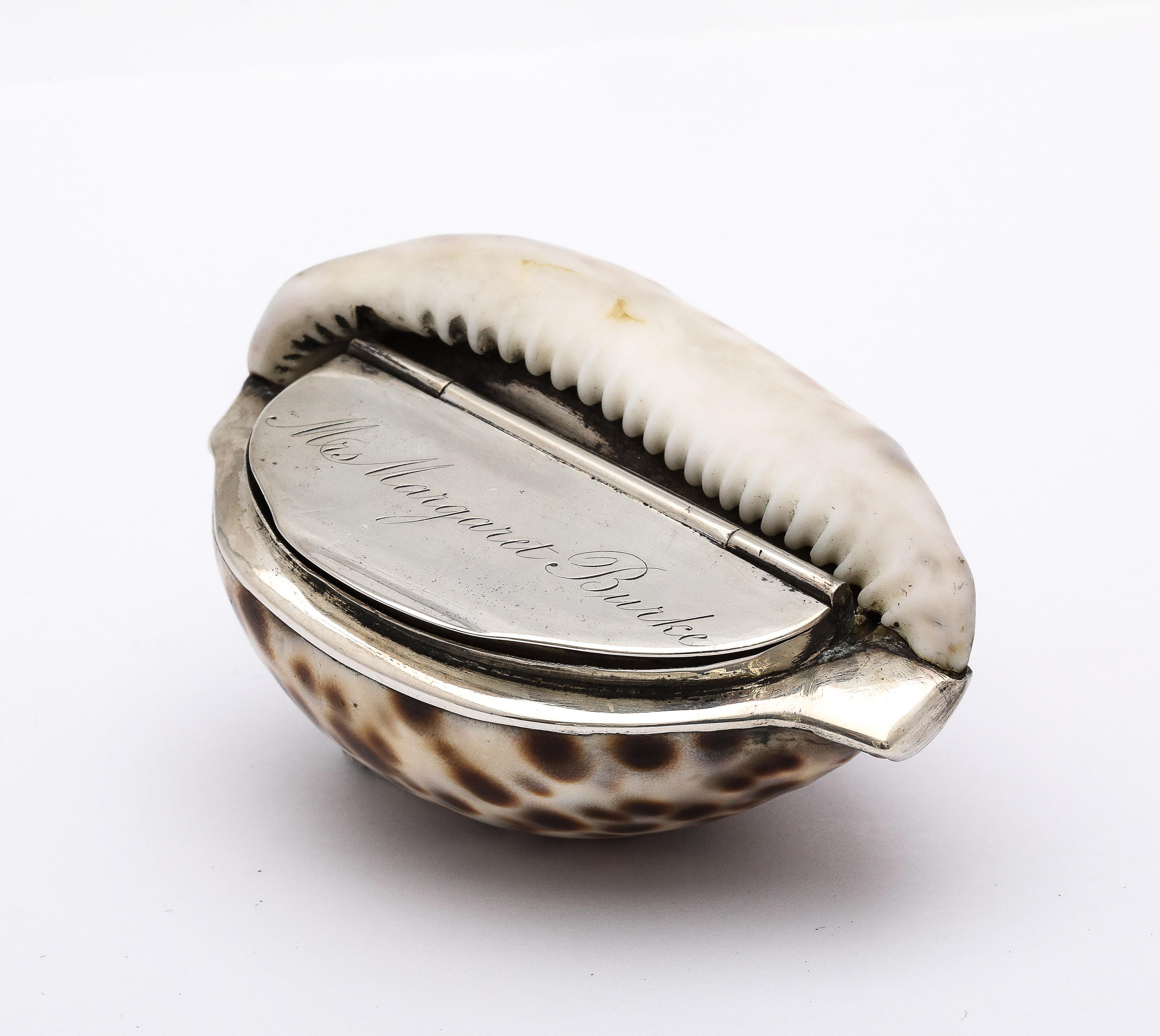 Tabacchiera con conchiglia di cowrie in argento massiccio di epoca vittoriana con coperchio a cerniera in vendita 5