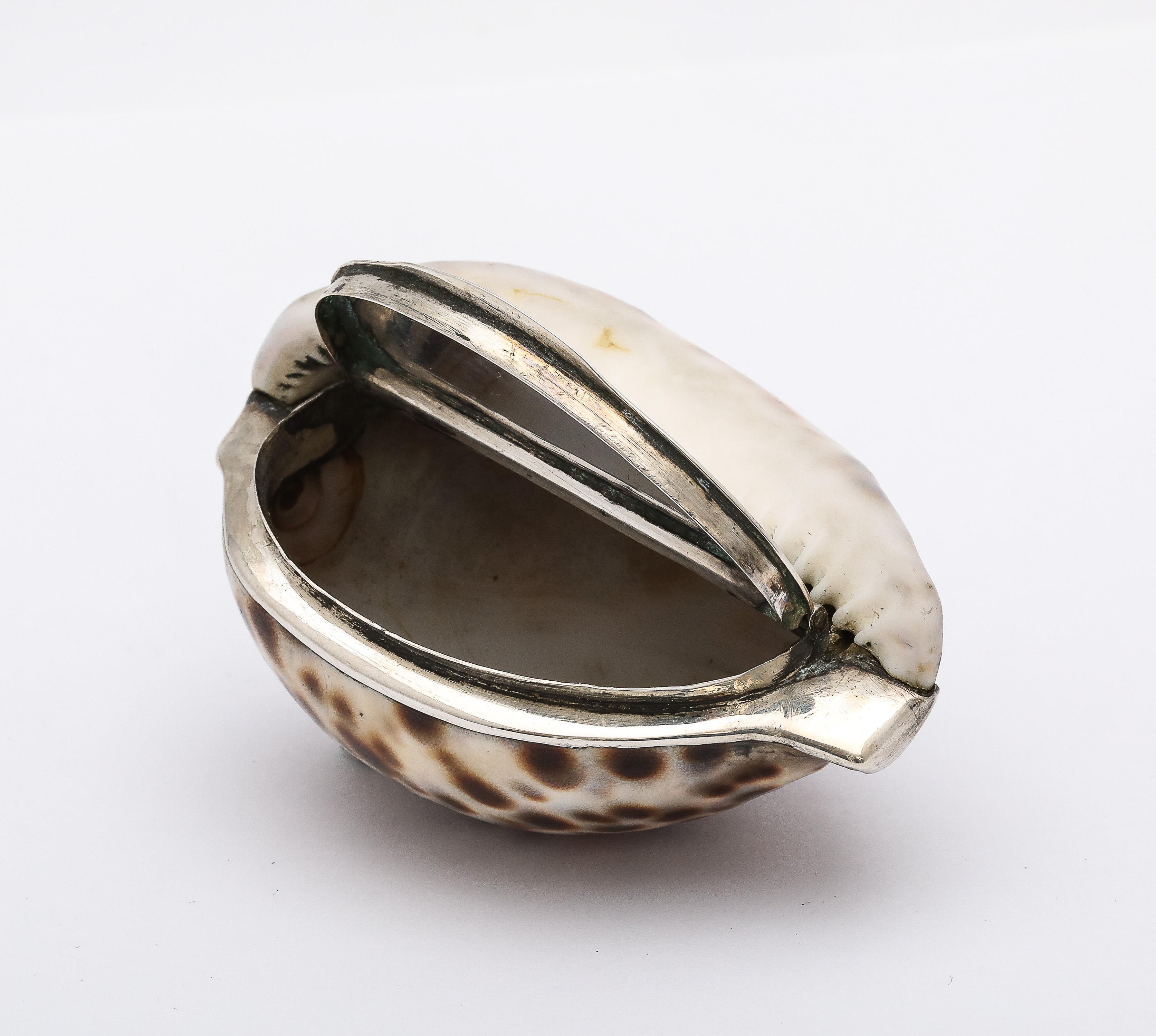 Tabacchiera con conchiglia di cowrie in argento massiccio di epoca vittoriana con coperchio a cerniera in vendita 6