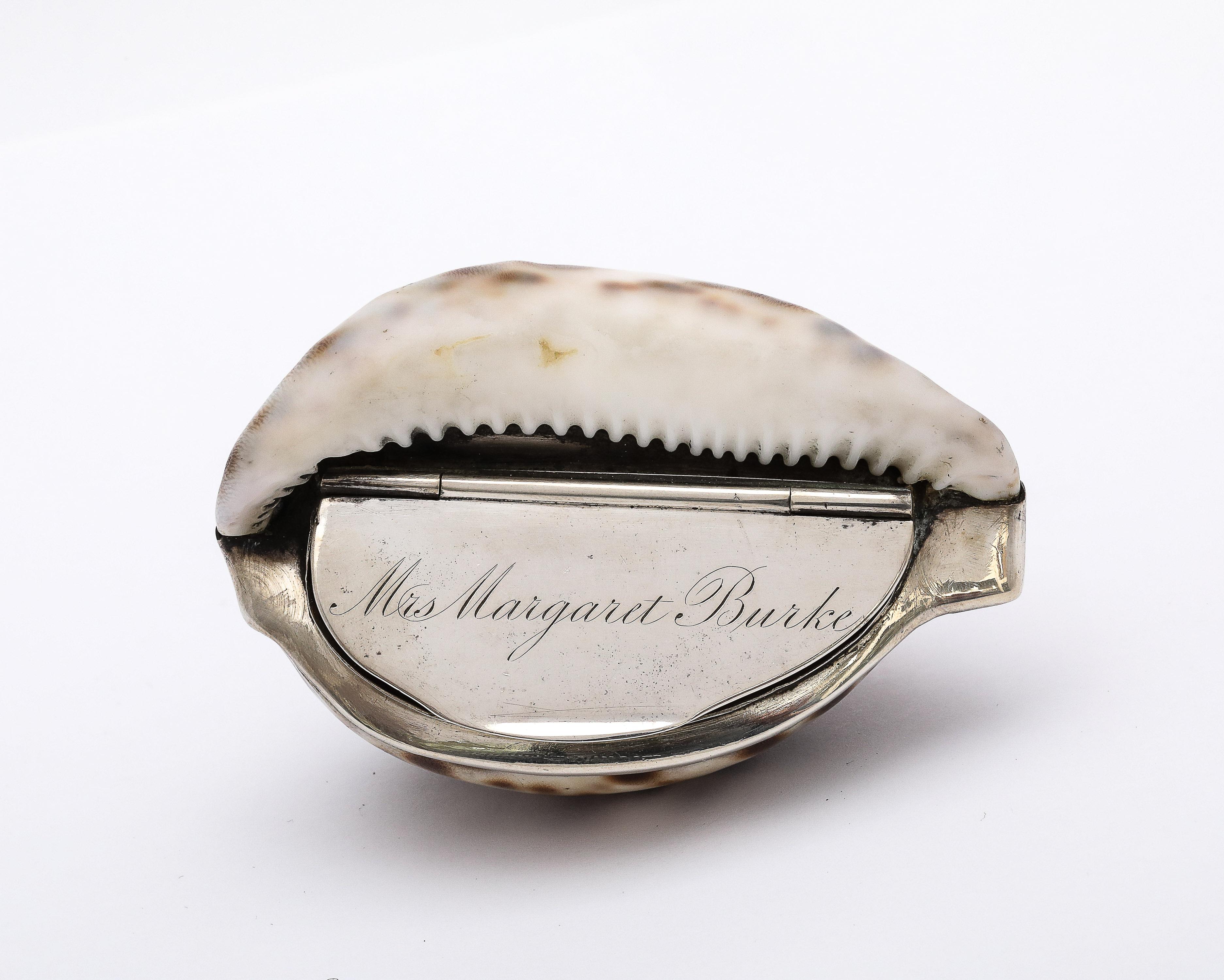 Vittoriano Tabacchiera con conchiglia di cowrie in argento massiccio di epoca vittoriana con coperchio a cerniera in vendita