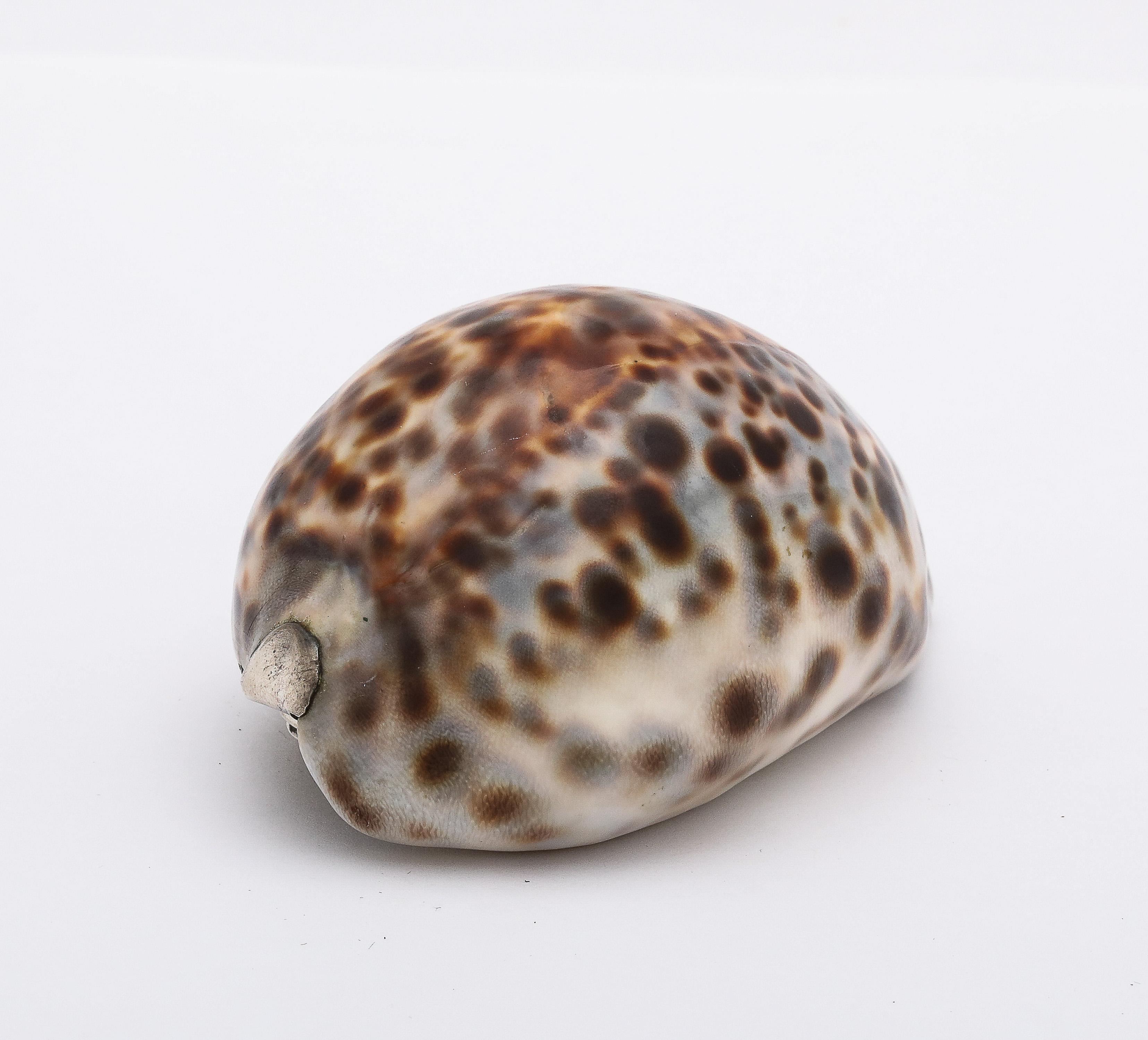 Inglese Tabacchiera con conchiglia di cowrie in argento massiccio di epoca vittoriana con coperchio a cerniera in vendita