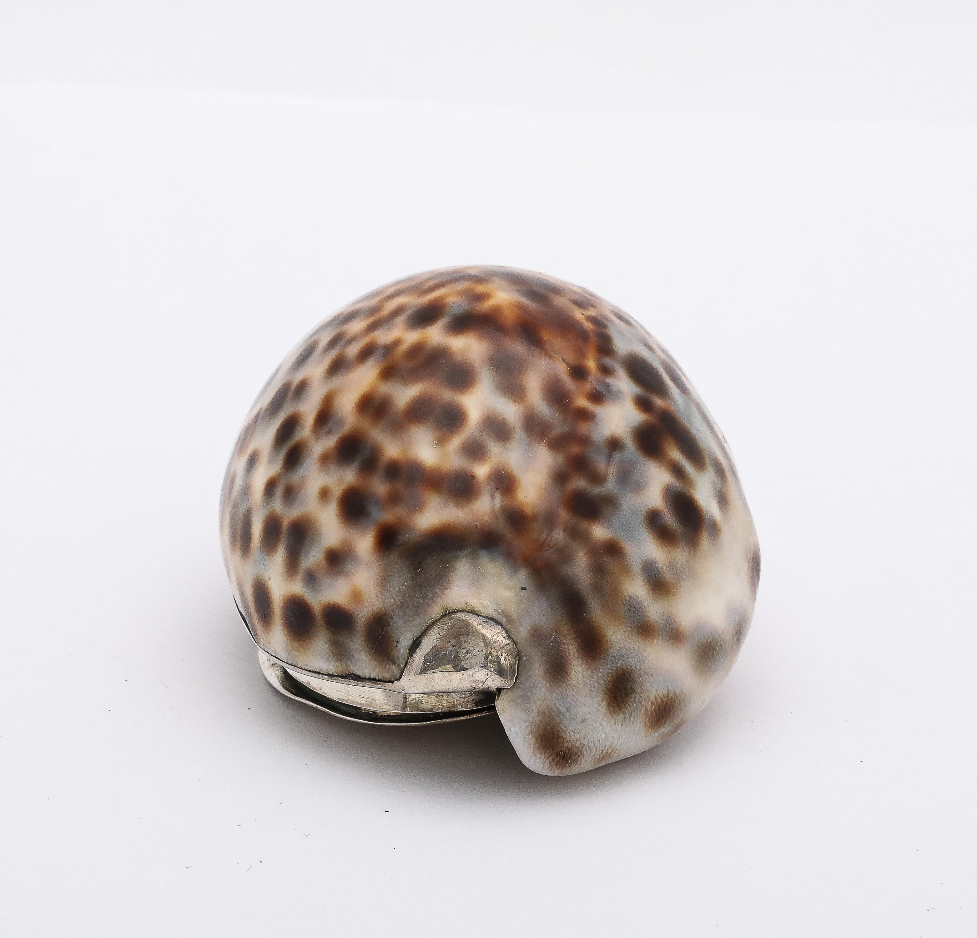 Tabacchiera con conchiglia di cowrie in argento massiccio di epoca vittoriana con coperchio a cerniera In condizioni buone in vendita a New York, NY