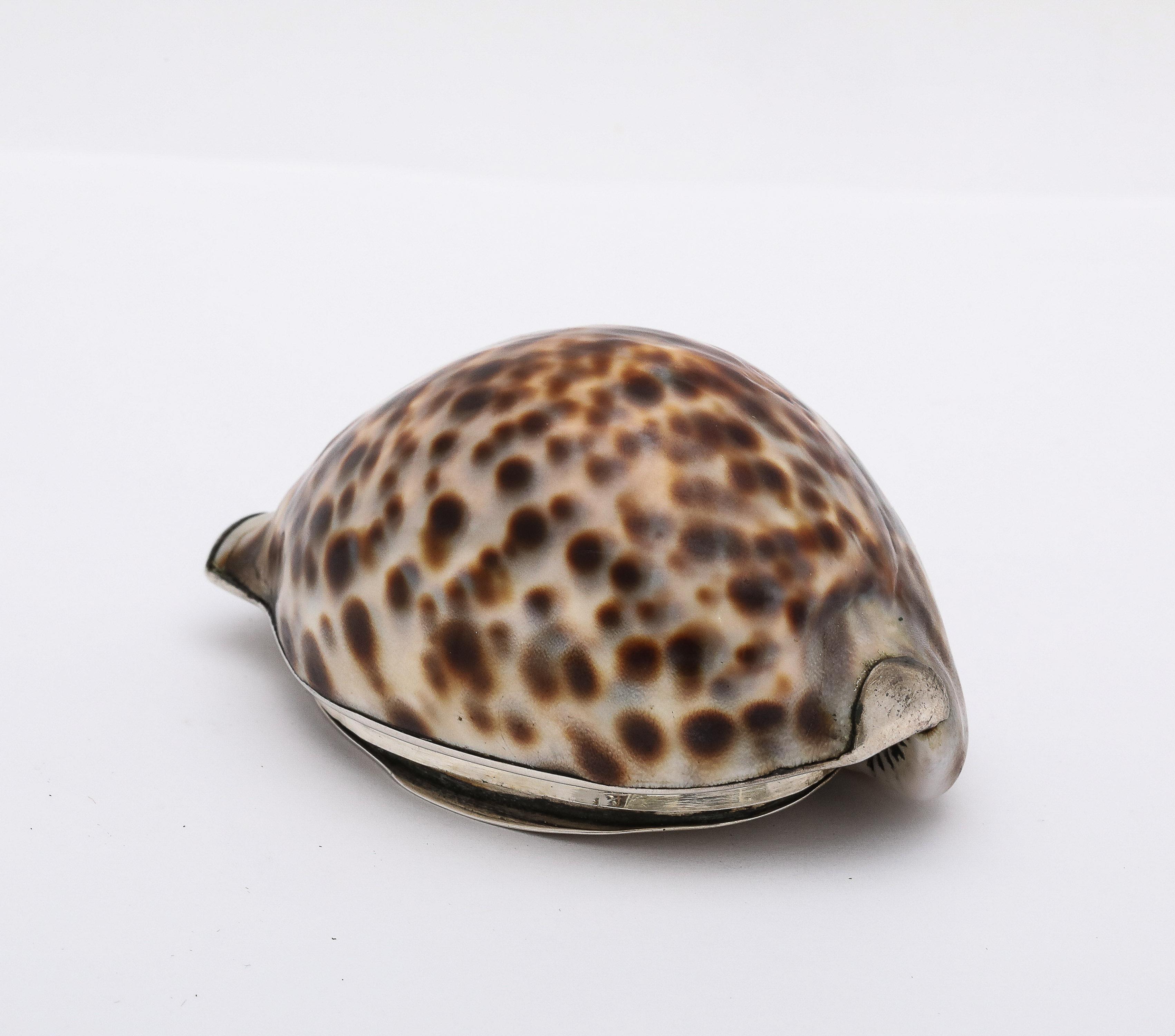Metà XIX secolo Tabacchiera con conchiglia di cowrie in argento massiccio di epoca vittoriana con coperchio a cerniera in vendita