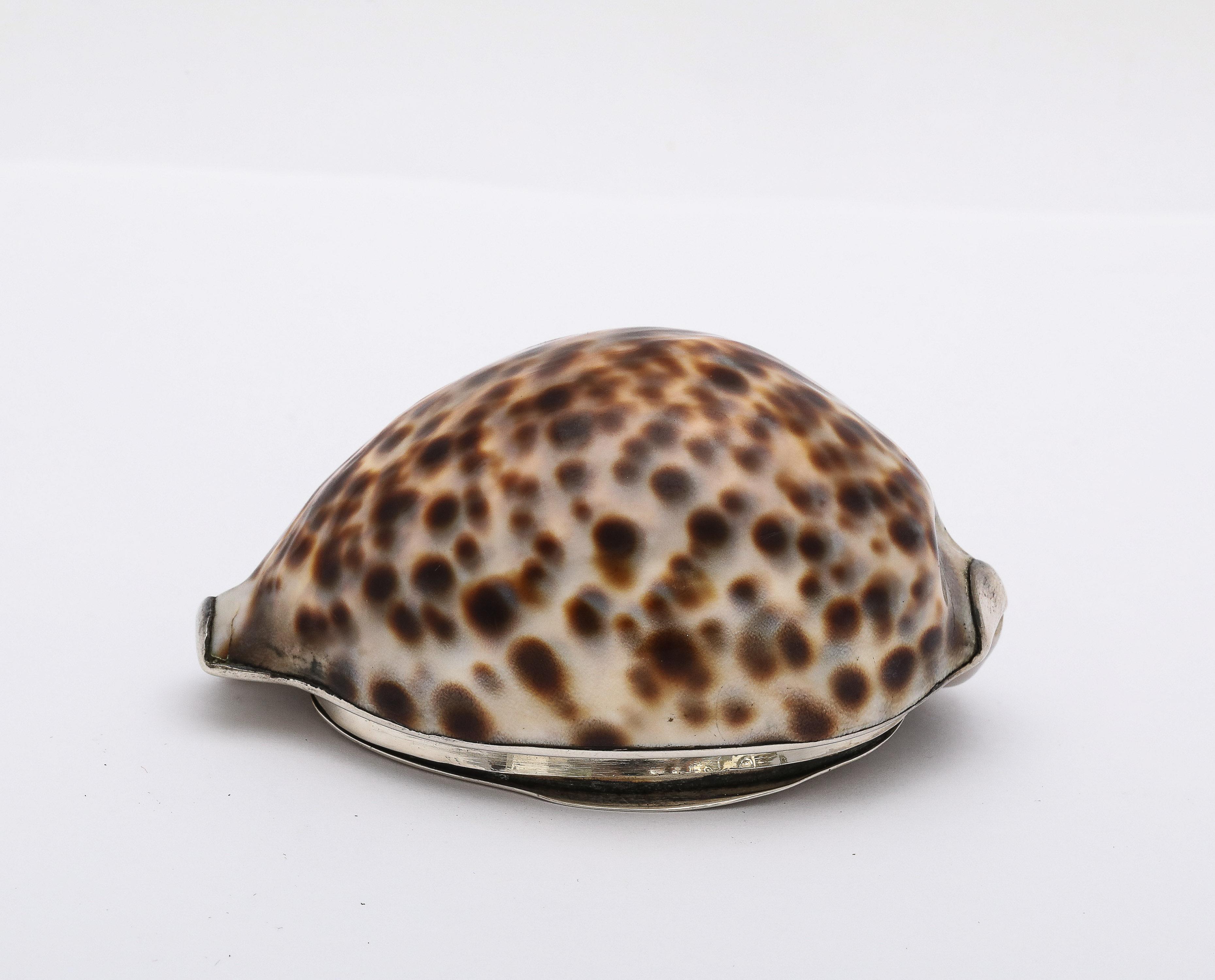 Argento 925 Tabacchiera con conchiglia di cowrie in argento massiccio di epoca vittoriana con coperchio a cerniera in vendita