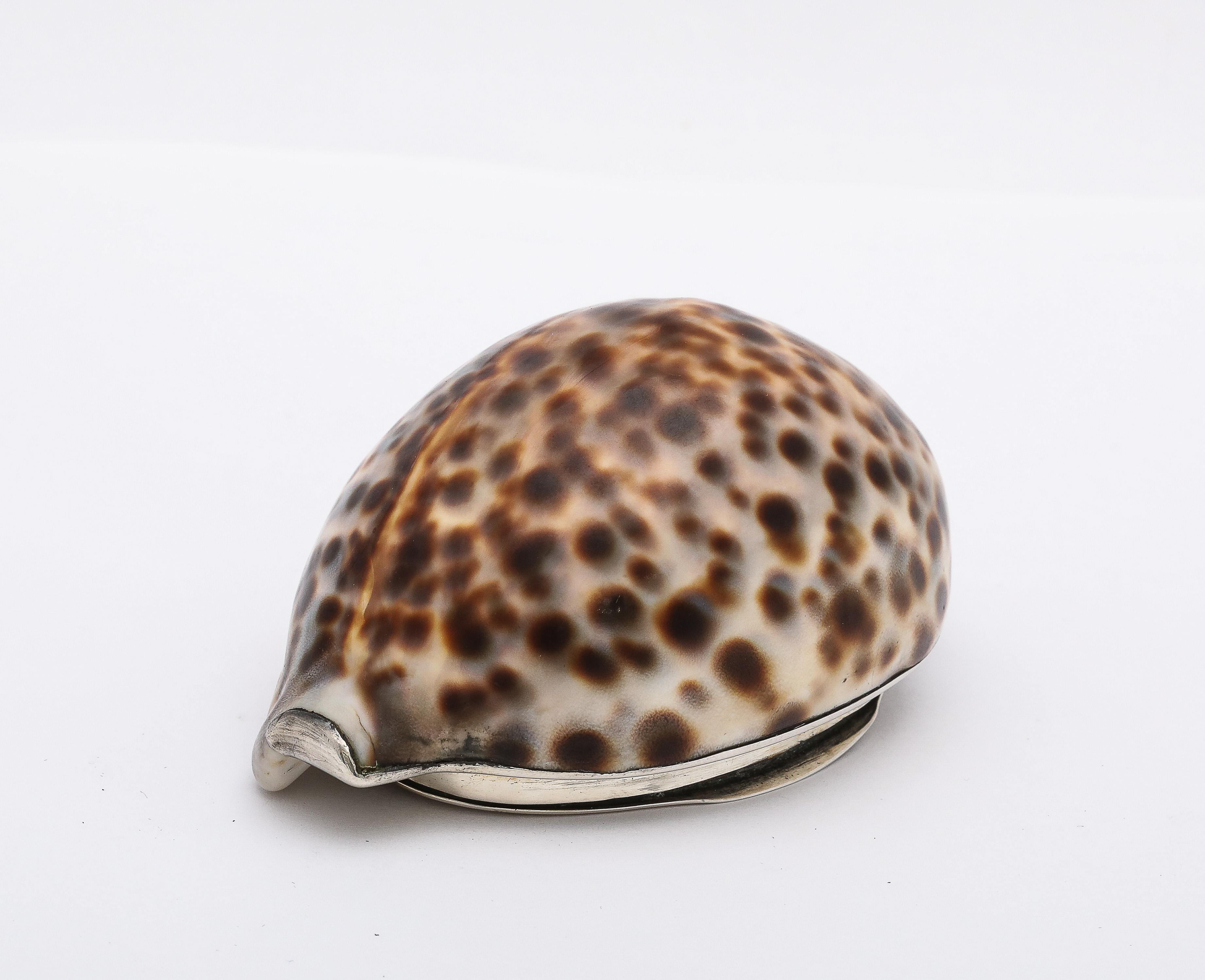 Tabacchiera con conchiglia di cowrie in argento massiccio di epoca vittoriana con coperchio a cerniera in vendita 1