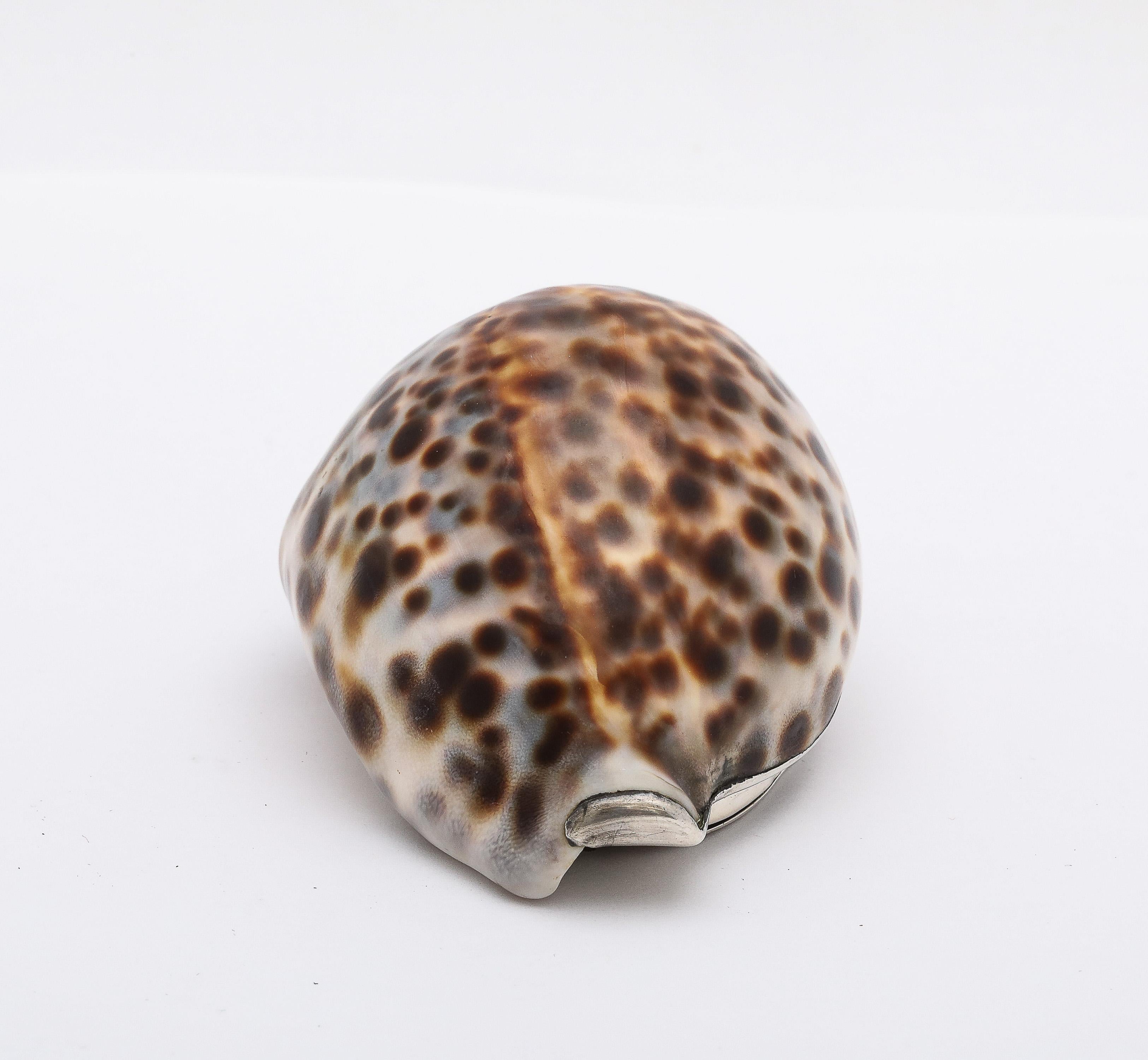 Tabacchiera con conchiglia di cowrie in argento massiccio di epoca vittoriana con coperchio a cerniera in vendita 2