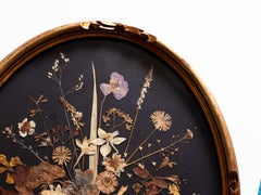 Victorian Pressed Flower Oddity, Botanical Art in Gilt Oval Frame, 19th Century