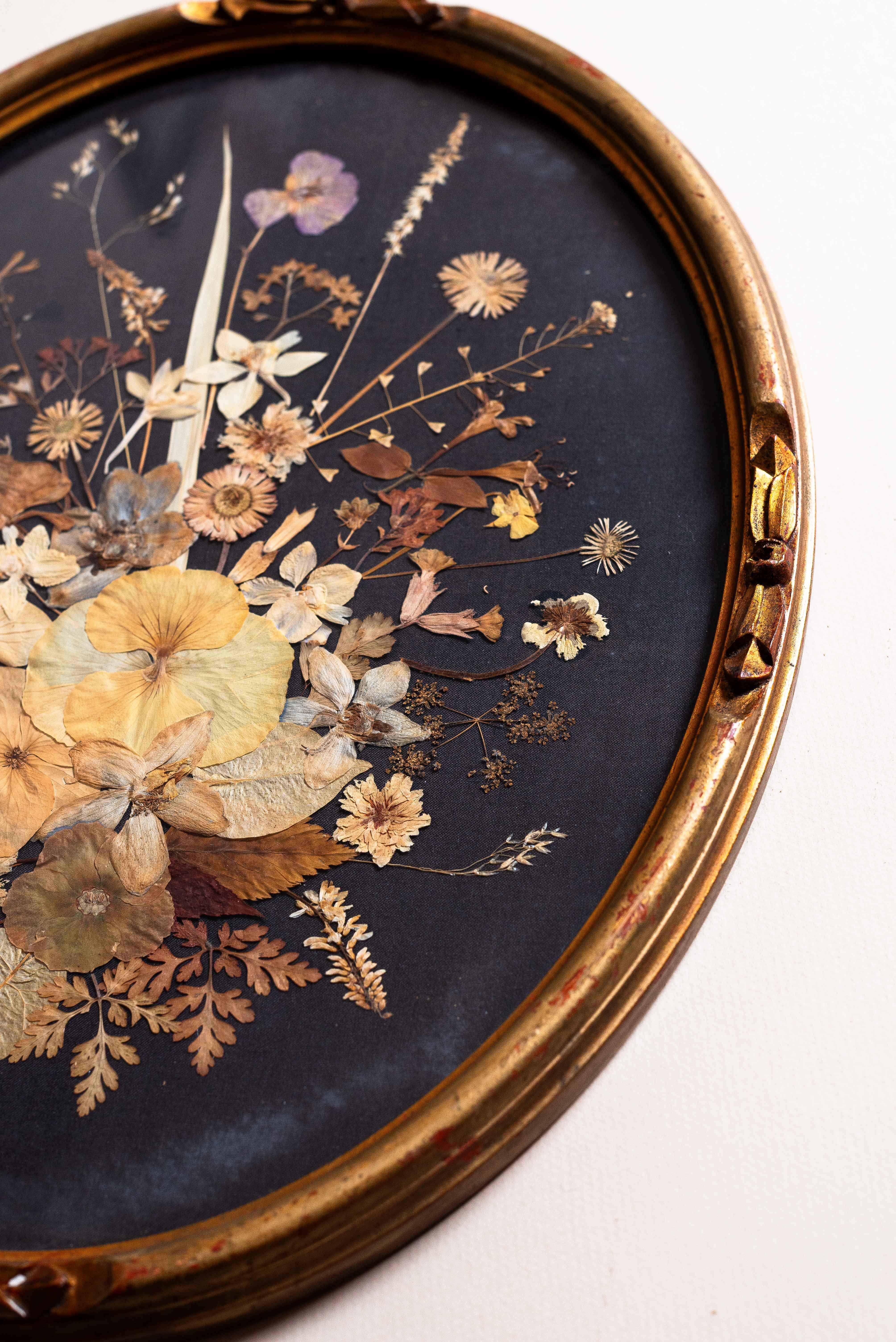 French Victorian Pressed Flower Oddity, Botanical Art in Gilt Oval Frame, 19th Century For Sale