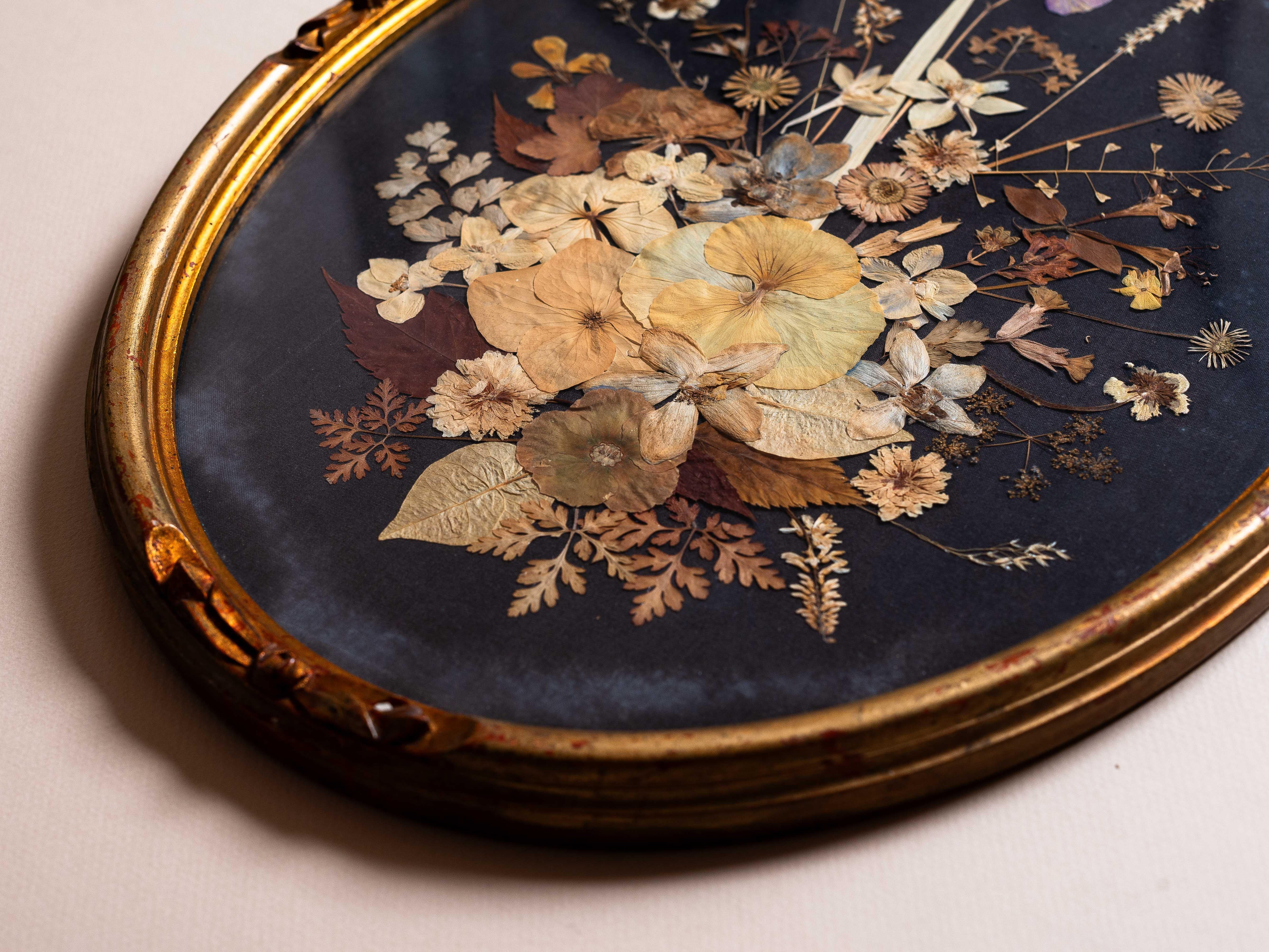 Victorian Pressed Flower Oddity, Botanical Art in Gilt Oval Frame, 19th Century For Sale 1