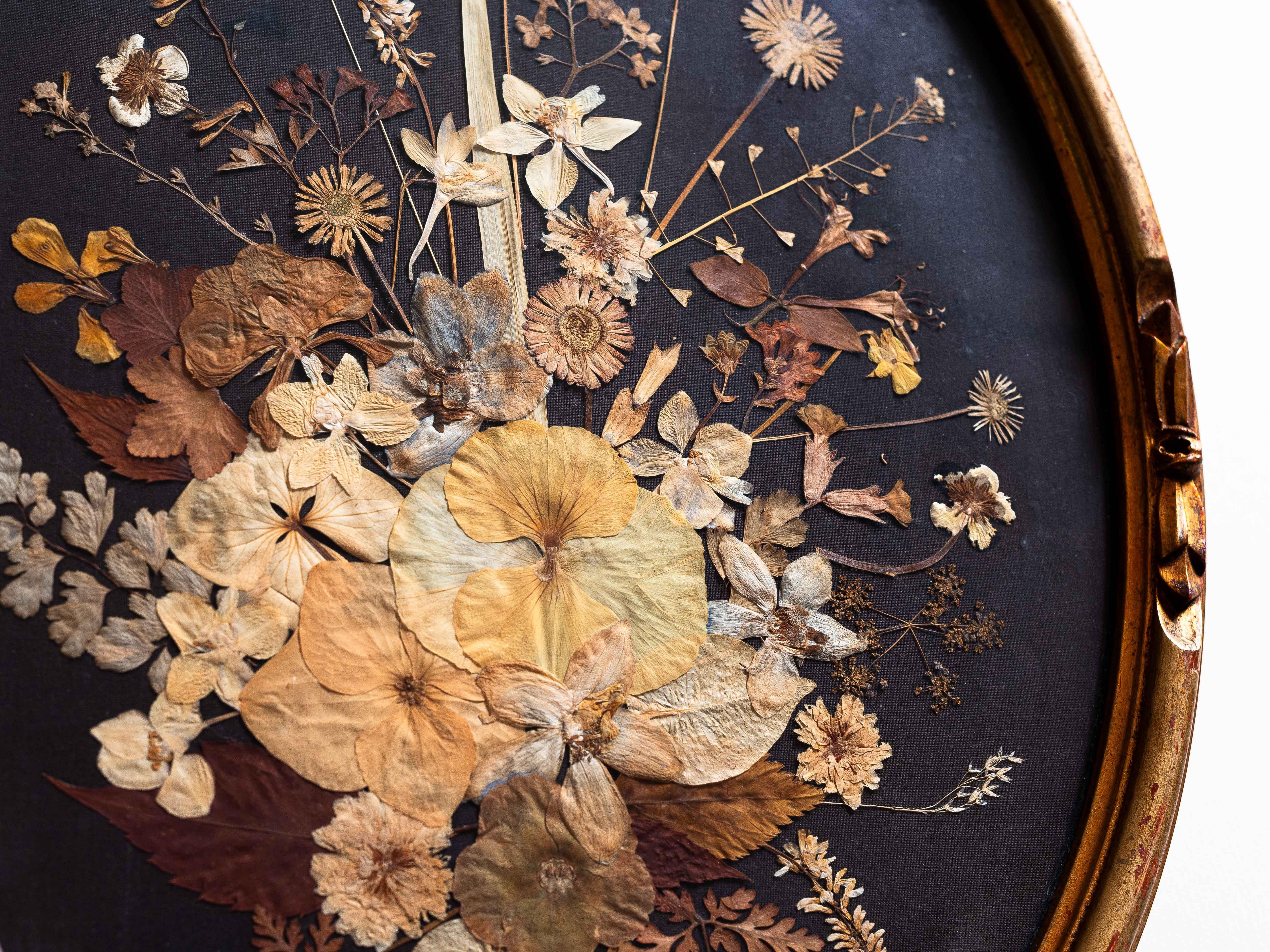 Victorian Pressed Flower Oddity, Botanical Art in Gilt Oval Frame, 19th Century For Sale 2