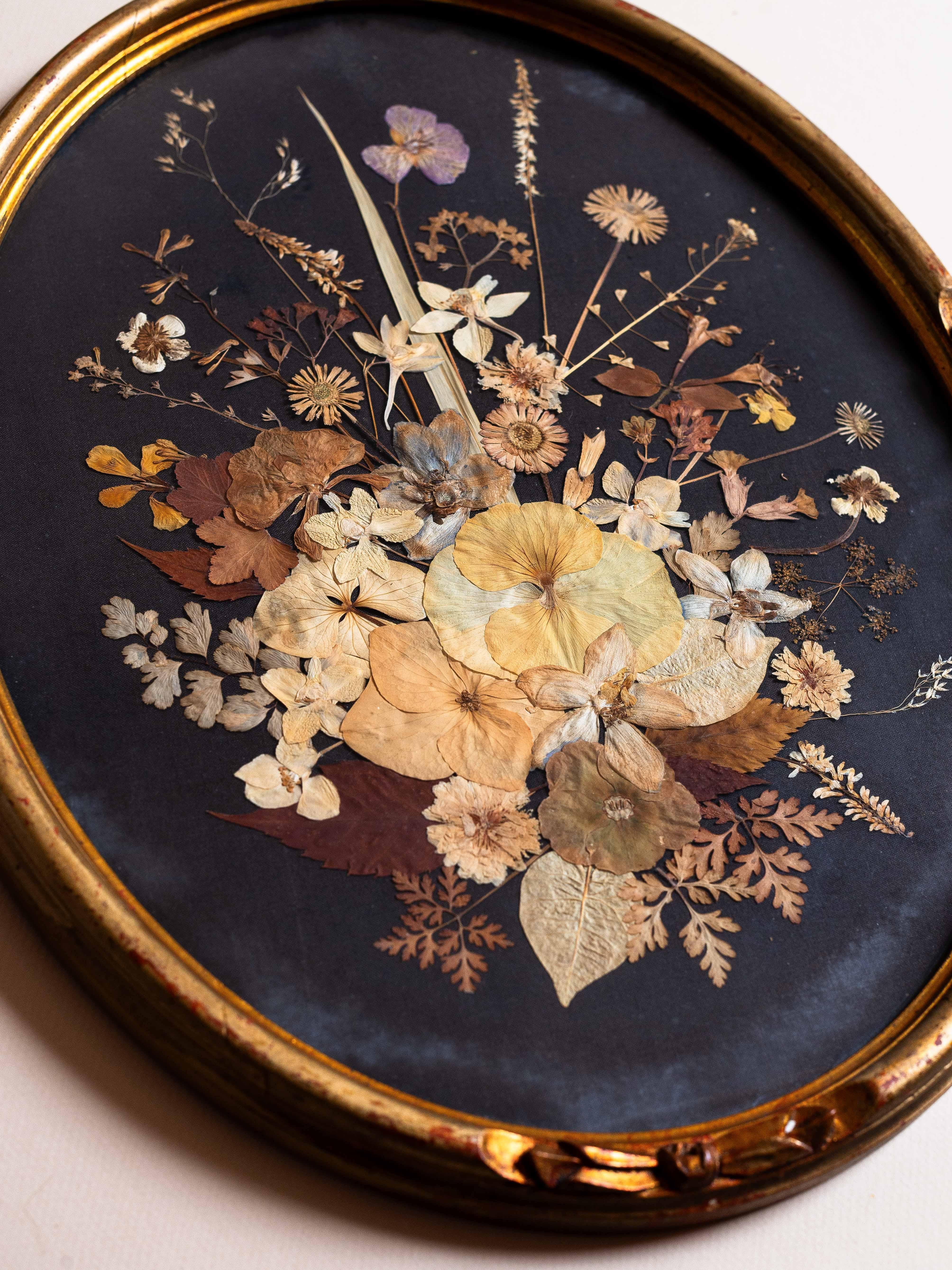 Victorian Pressed Flower Oddity, Botanical Art in Gilt Oval Frame, 19th Century For Sale 3