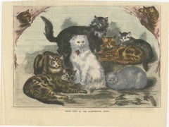 Victorian Prize Cats: Hand-Colored Woodcut from the Manchester Cat Show, ca.1890