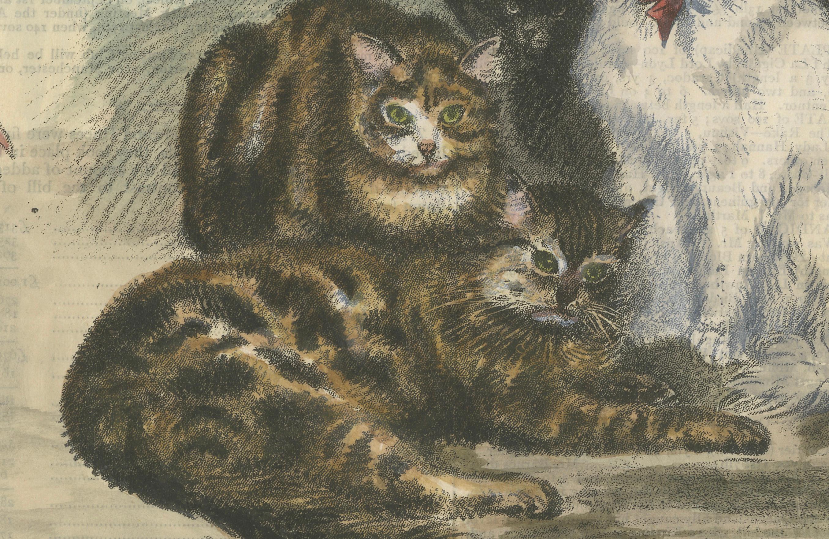 Viktorianische Preis-Katzen: Handkolorierter Holzschnitt aus der Manchester Cat Show, ca. 1890 im Zustand „Gut“ im Angebot in Langweer, NL