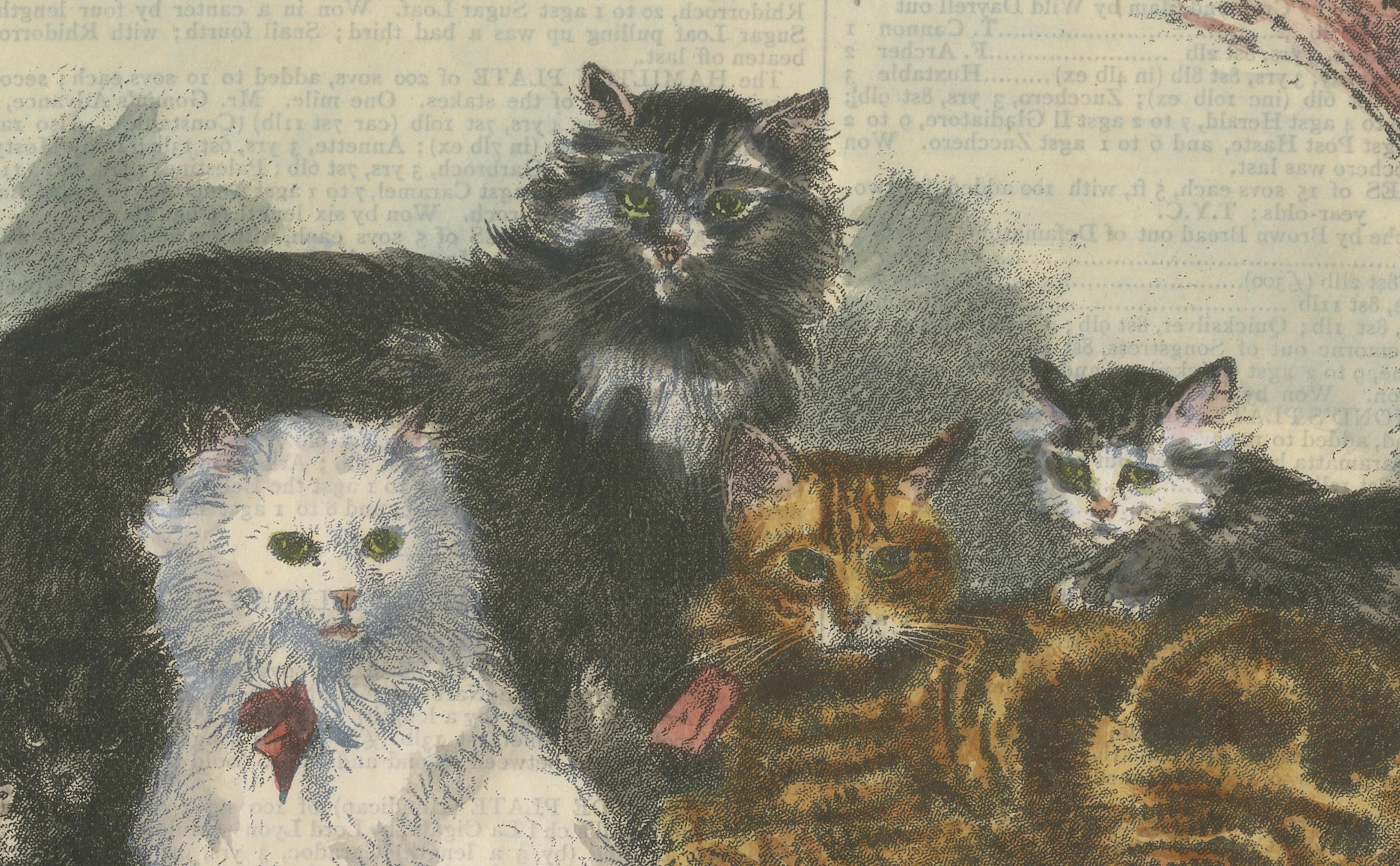 Viktorianische Preis-Katzen: Handkolorierter Holzschnitt aus der Manchester Cat Show, ca. 1890 (Spätes 19. Jahrhundert) im Angebot