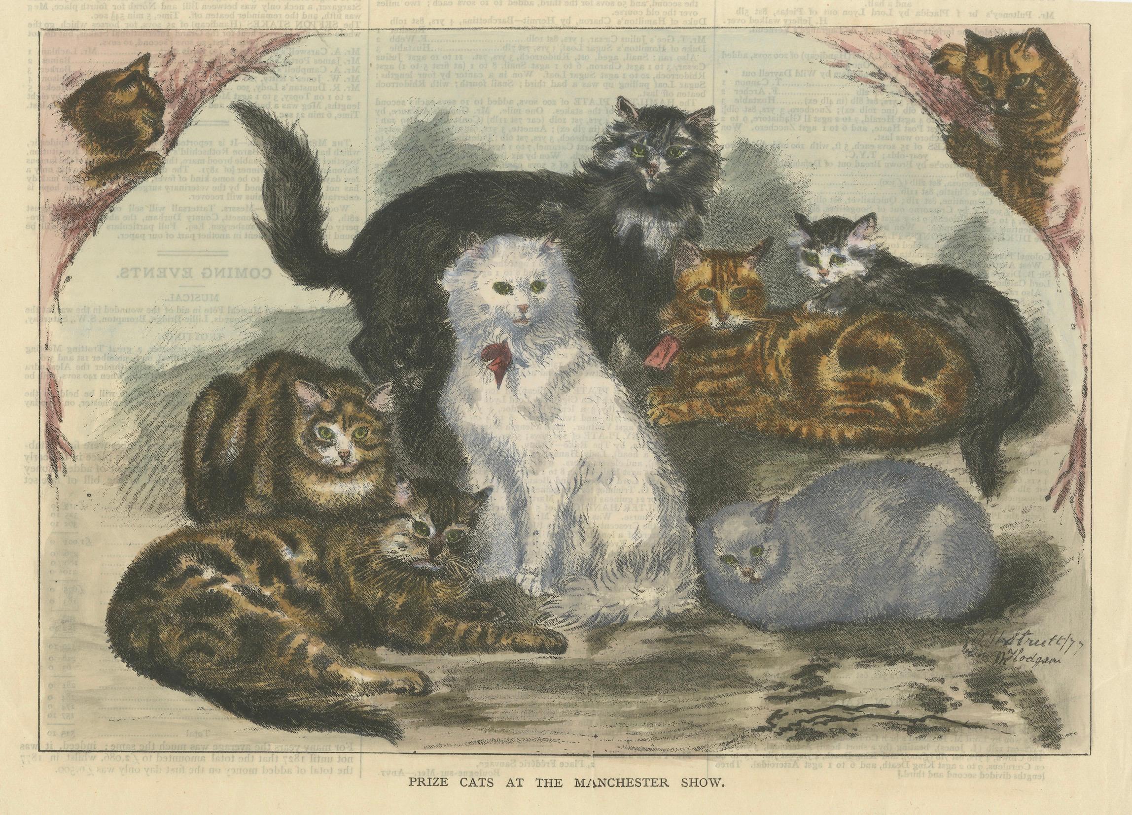 Viktorianische Preis-Katzen: Handkolorierter Holzschnitt aus der Manchester Cat Show, ca. 1890 (Papier) im Angebot