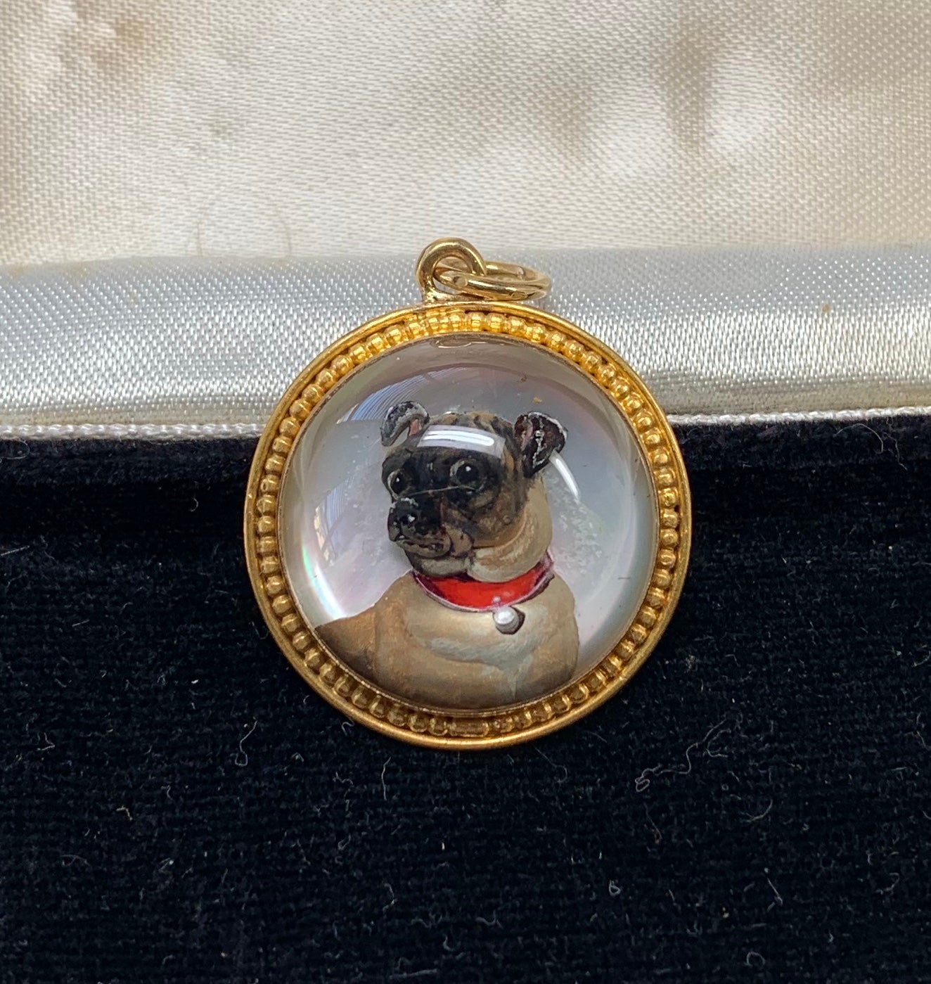 crystal pug