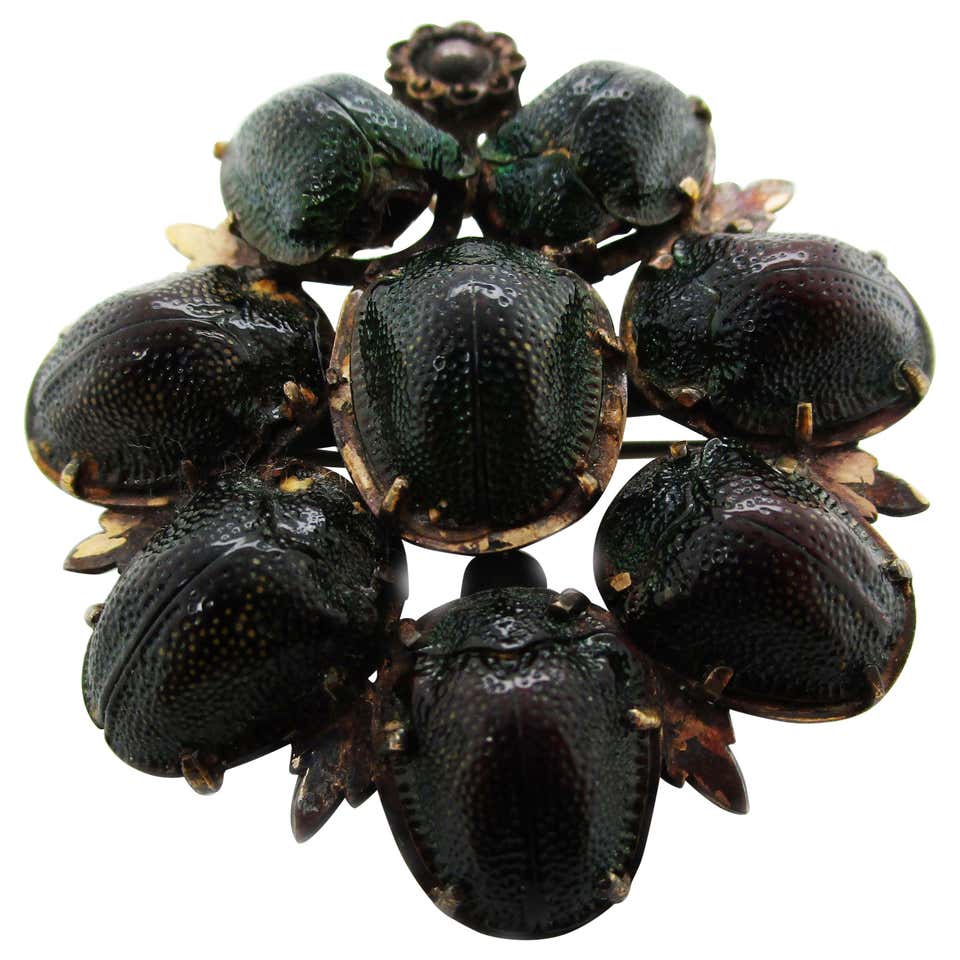 Victorian Real Tortoise Beetle Shell Pin Pendant For Sale at 1stDibs