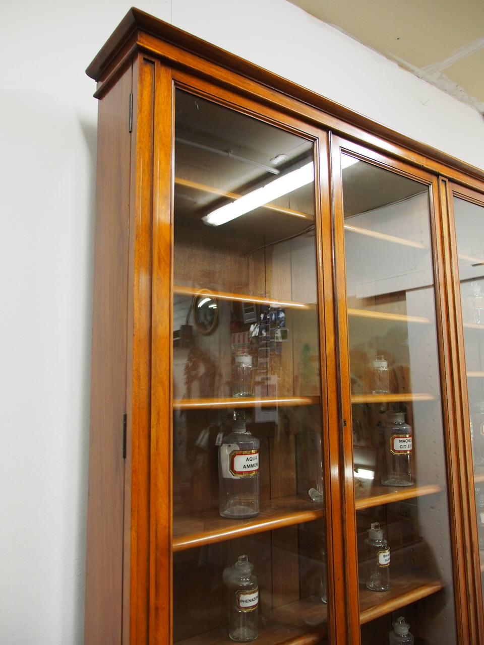 Victorian Red Walnut Cabinet Bookcase or Display Cabinet, circa 1880 6