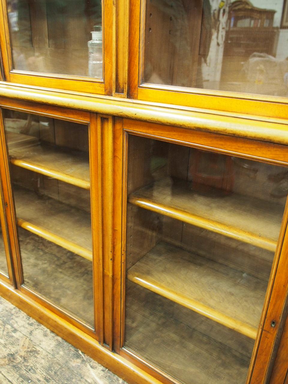 Victorian Red Walnut Cabinet Bookcase or Display Cabinet, circa 1880 4
