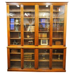 Victorian Red Walnut Cabinet Bookcase or Display Cabinet, circa 1880