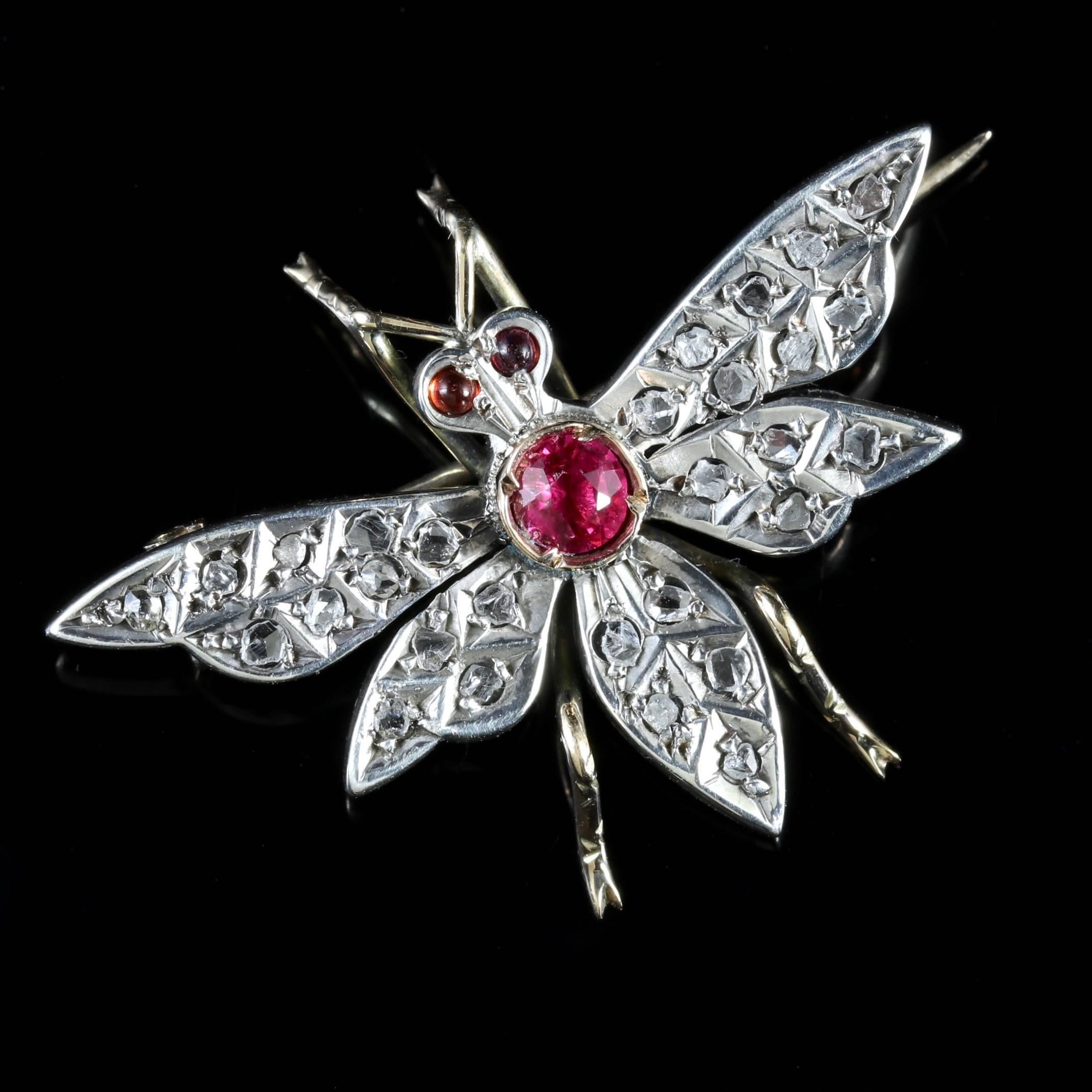 This delightful Victorian 18ct Gold and Silver butterfly brooch is adorned with Rubies and sparkling rose cut Diamonds, Circa 1900.

Butterfly or insect jewellery is highly collectable and was a symbol of good luck to the wearer during the Victorian