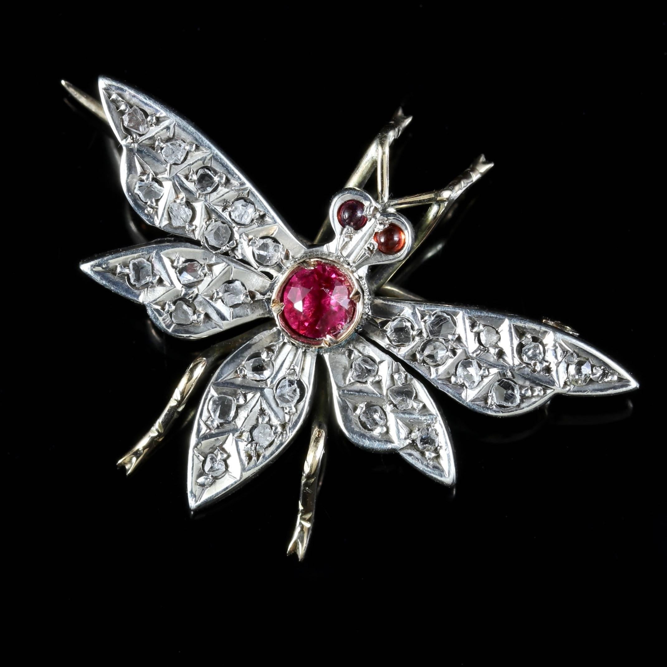 Victorian Ruby Diamond Butterfly 18 Carat Silver Brooch, circa 1900 For Sale 1