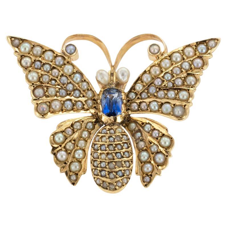 Victorian Sapphire Seed Pearl Butterfly Yellow Gold Brooch Pendant