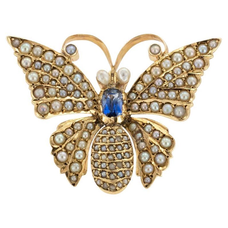 Victorian Sapphire Seed Pearl Butterfly Yellow Gold Brooch Pendant For Sale