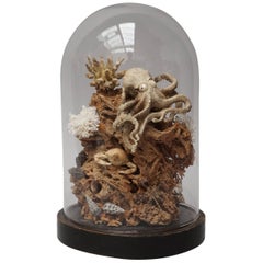 Victorian Sea Still Life Diorama under Glass with Okimono Bone Octopus
