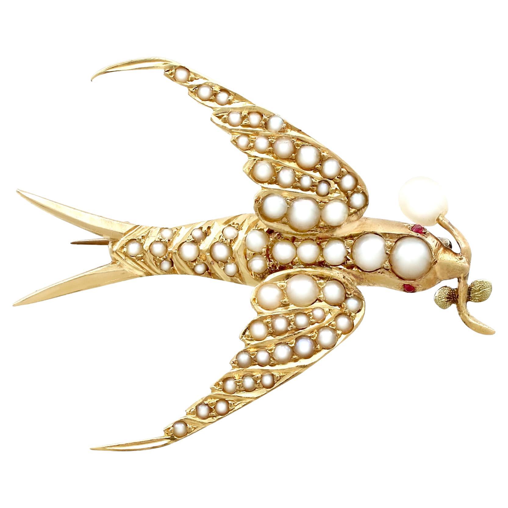Victorian Seed Pearl and Ruby Yellow Gold Bird Brooch For Sale