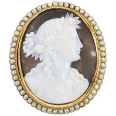 Victorian Shell Cameo Gold Brooch