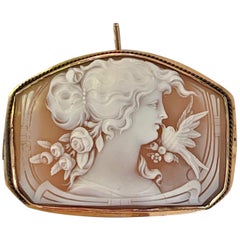 Victorian Shell Cameo Pin and Pendant in 14 Karat Yellow Gold