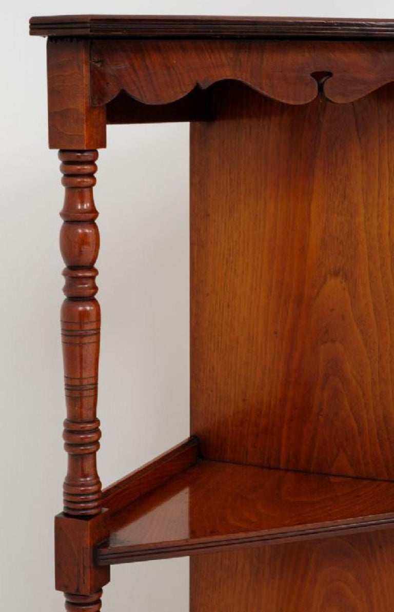 Victorian Side Antique Whatnot Bookcase, 1880 For Sale at 1stDibs