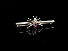 Victorian Silver and Paste Spider Brooch